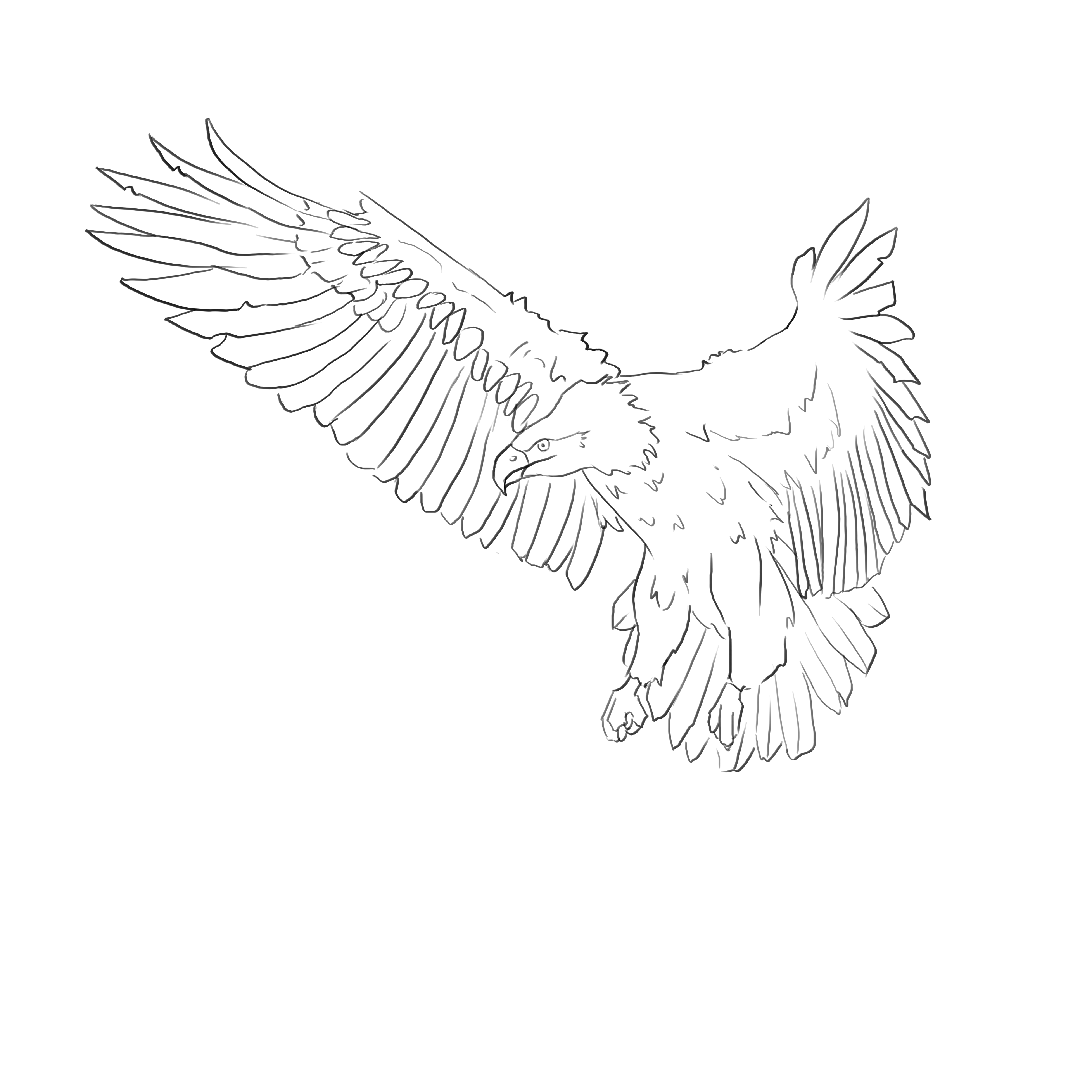 Cómo dibujar un águila