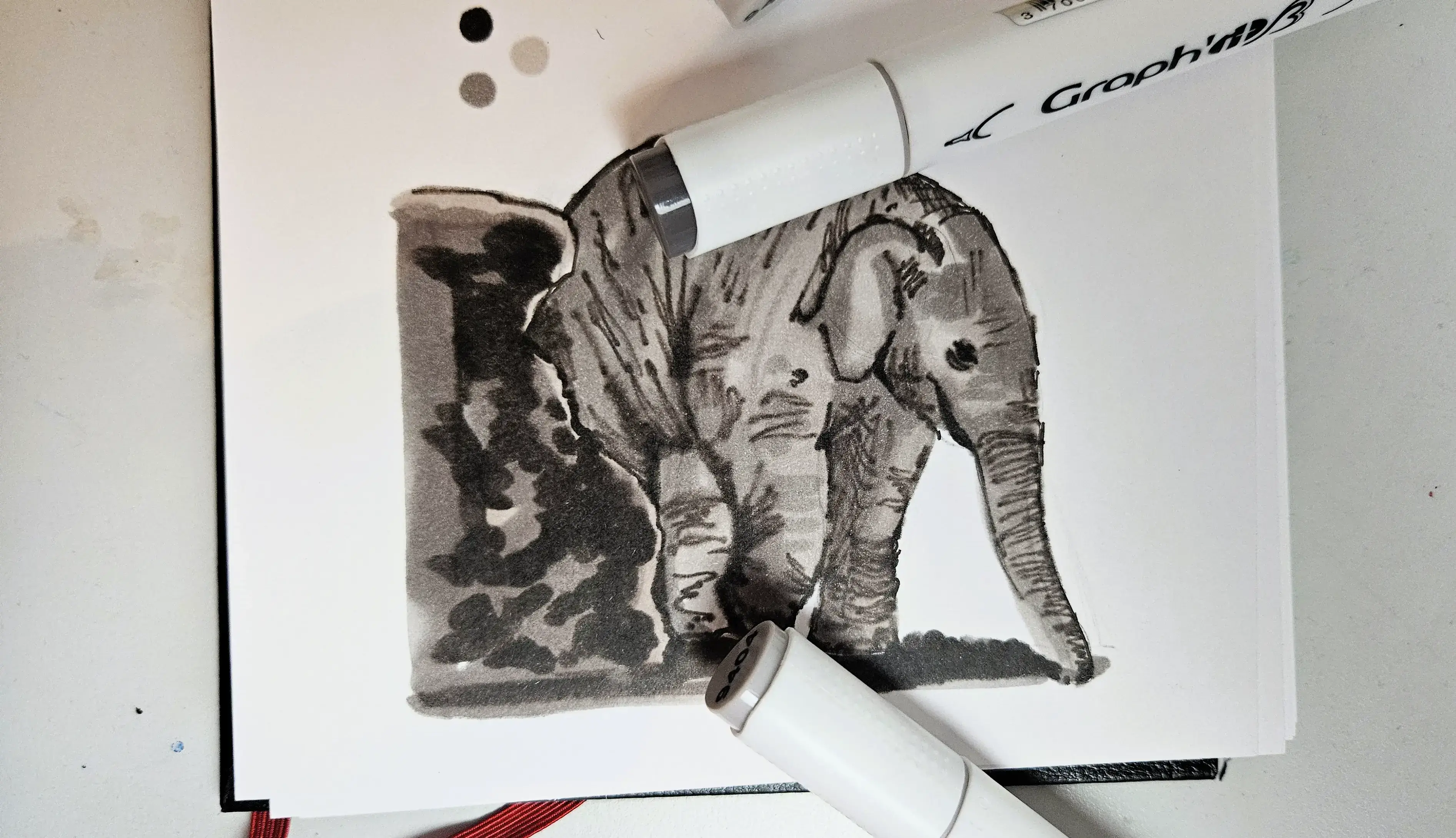 dessiner les détails d’un éléphanteau aux feutres à alcool