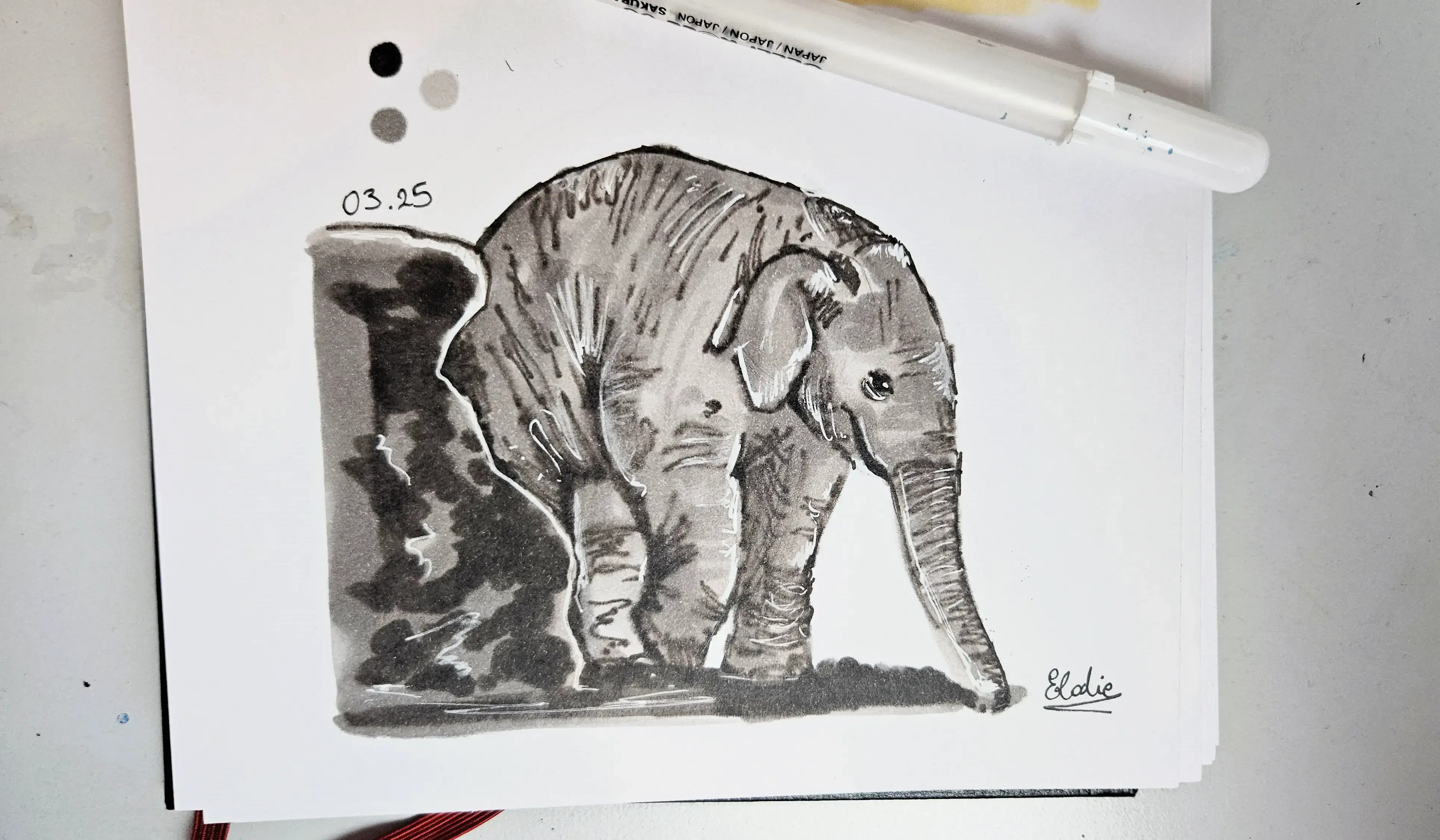 dessiner un éléphanteau aux feutres à alcool