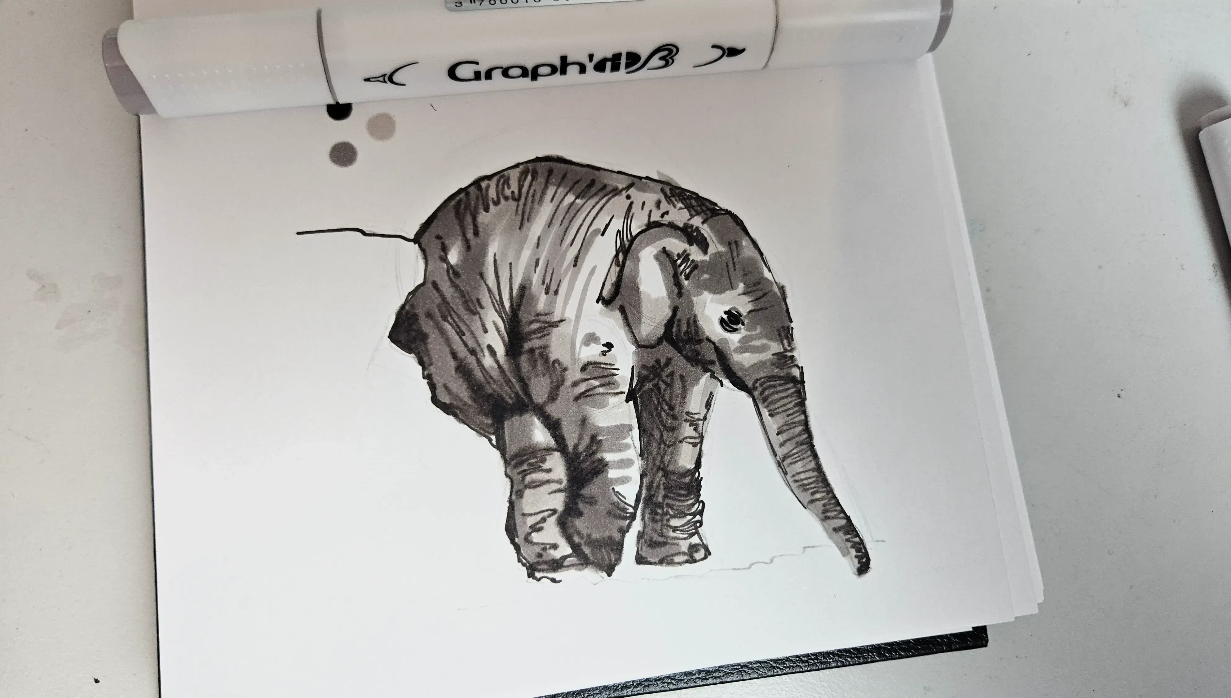 dessiner les ombres d’un éléphanteau aux feutres à alcool
