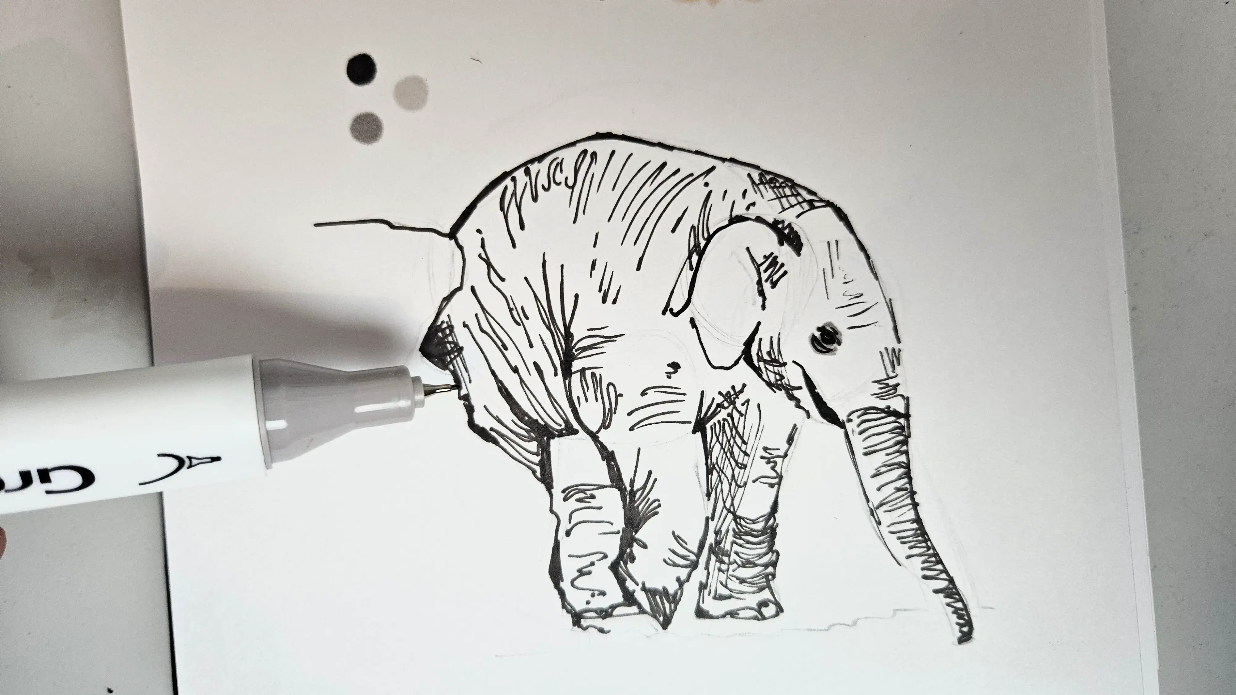 dessiner la peau d’un éléphanteau aux feutres à alcool