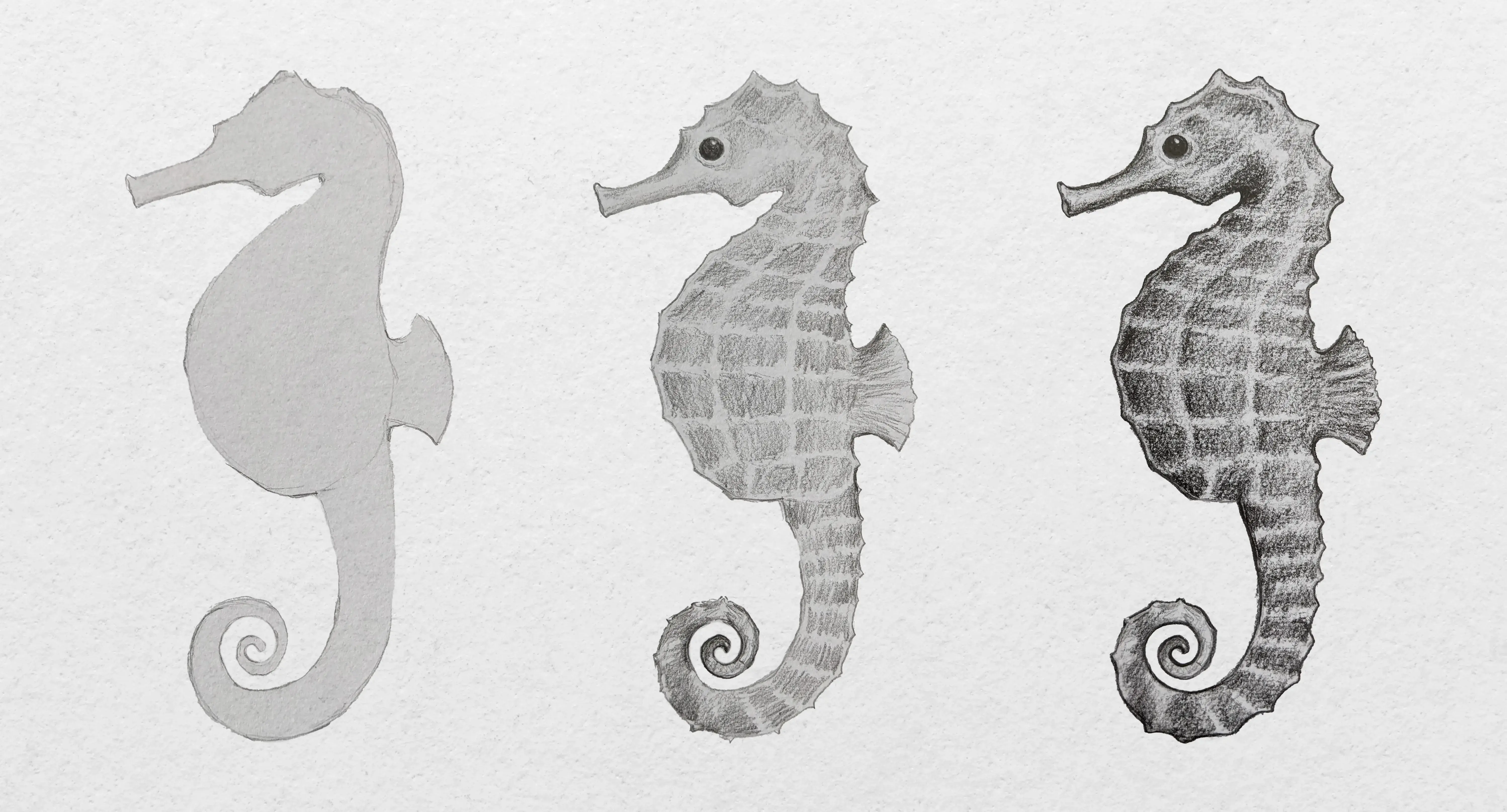dessiner un hippocampe par étapes