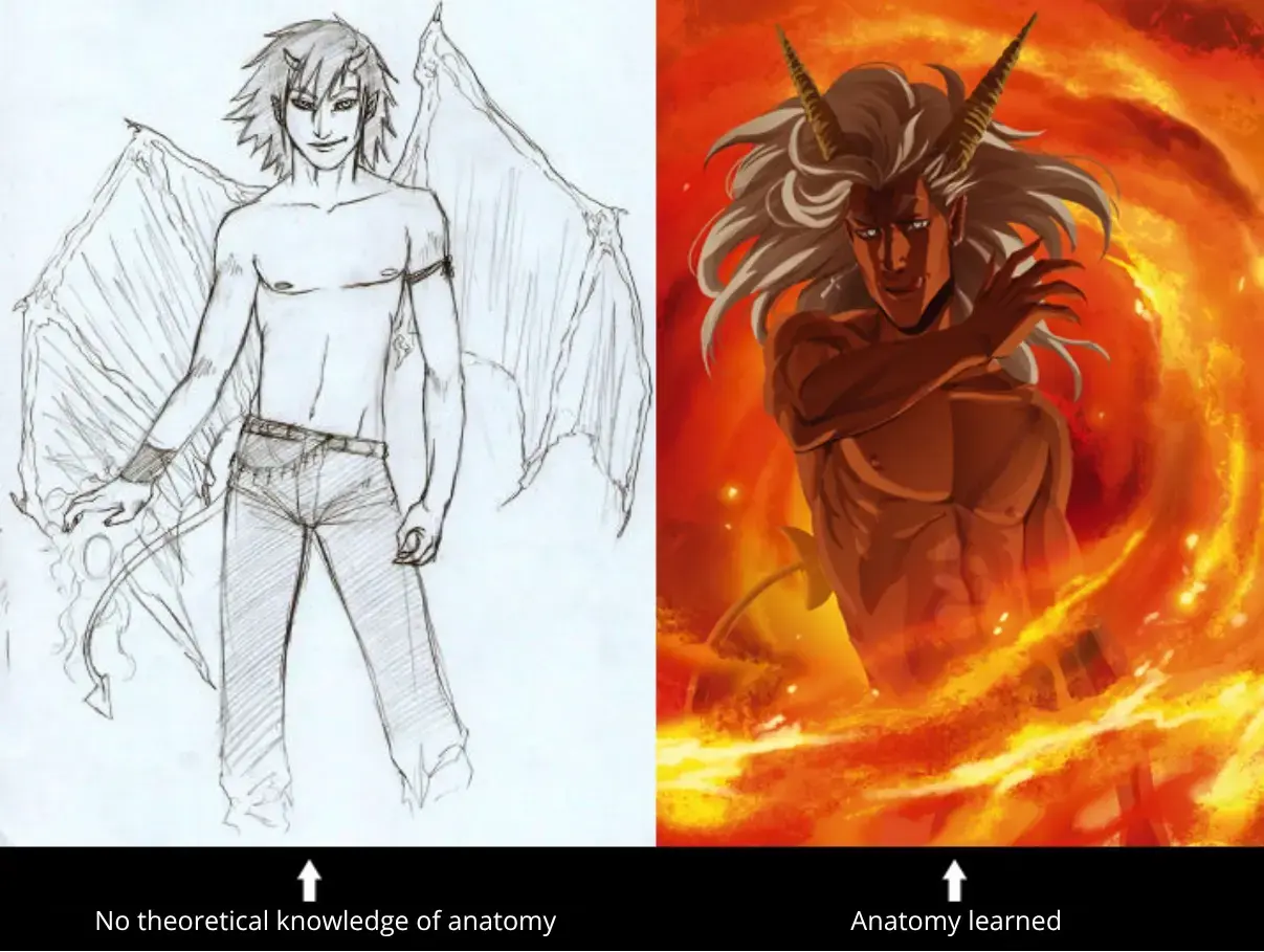 understanding anatomy to improve in drawing