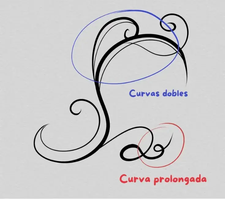 dibujo de curvas dobladas con un arabesco