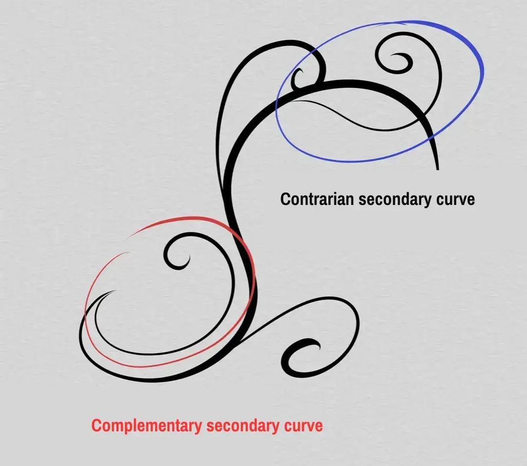 drawing of a set of arabesque curves