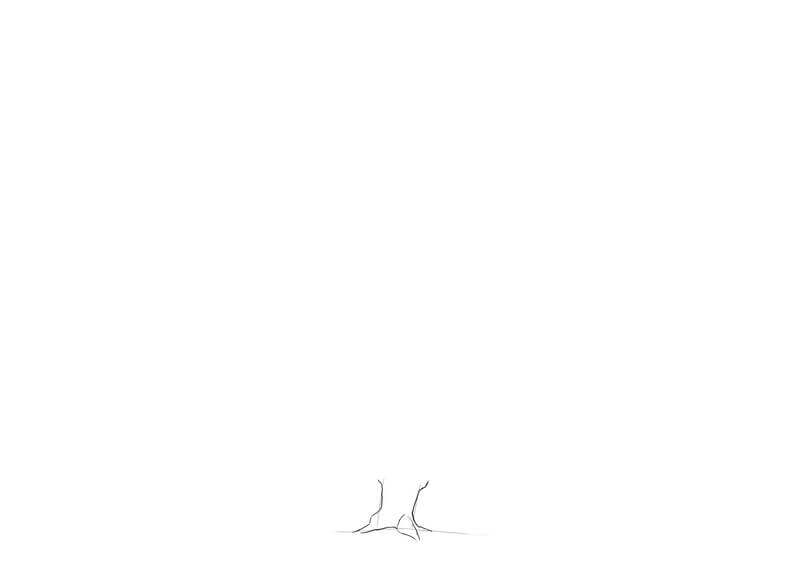 Suite du dessin du tronc du chêne
