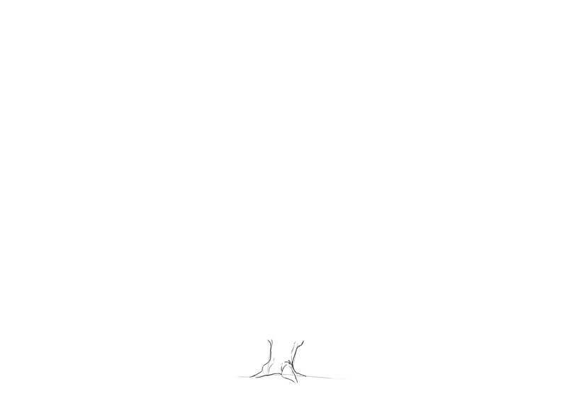 Fin du dessin du tronc du chêne