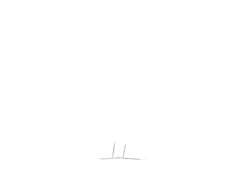 Dessin du tronc du chêne