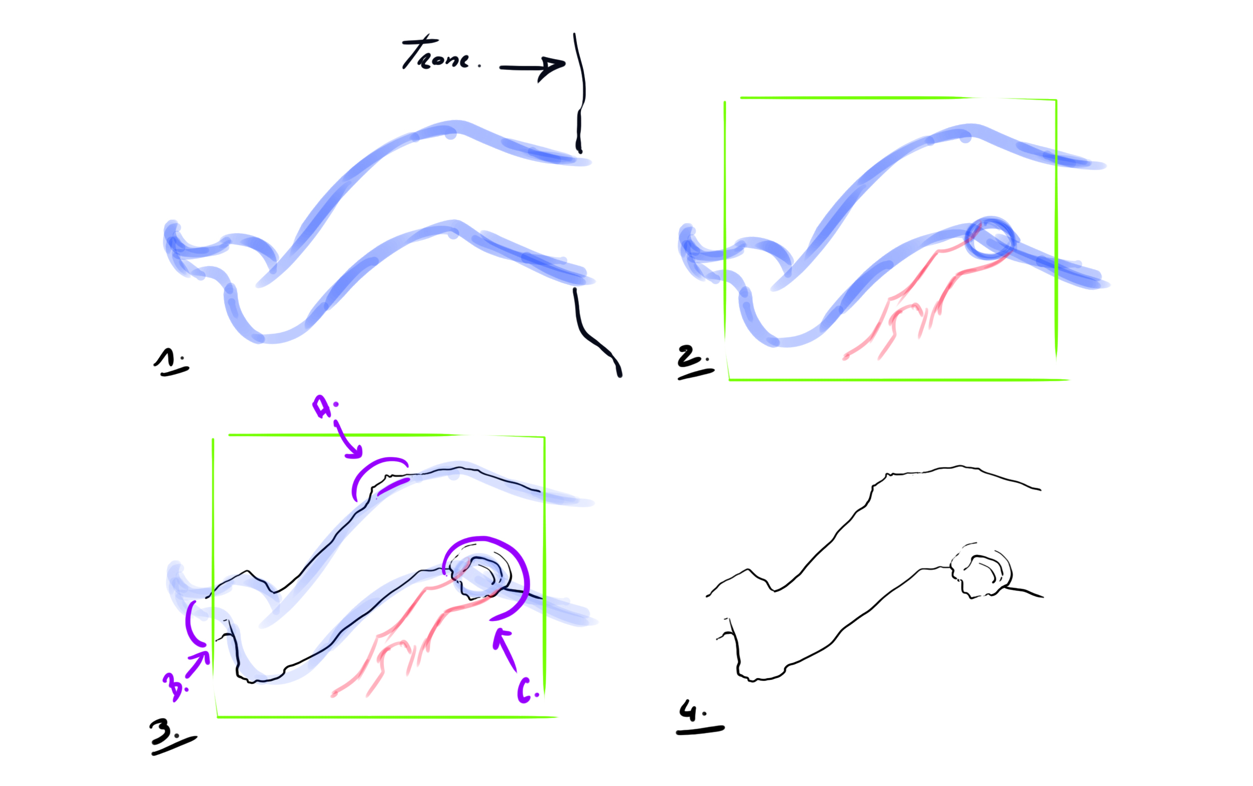 sketch of a branch