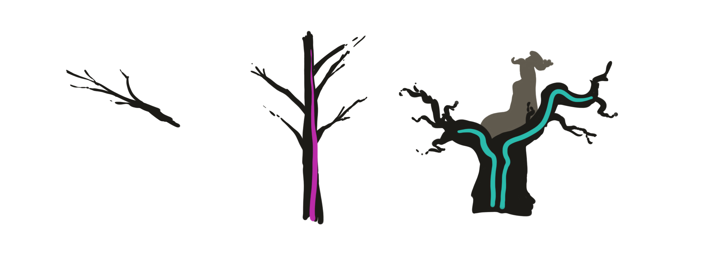 sketch of branches and trunks