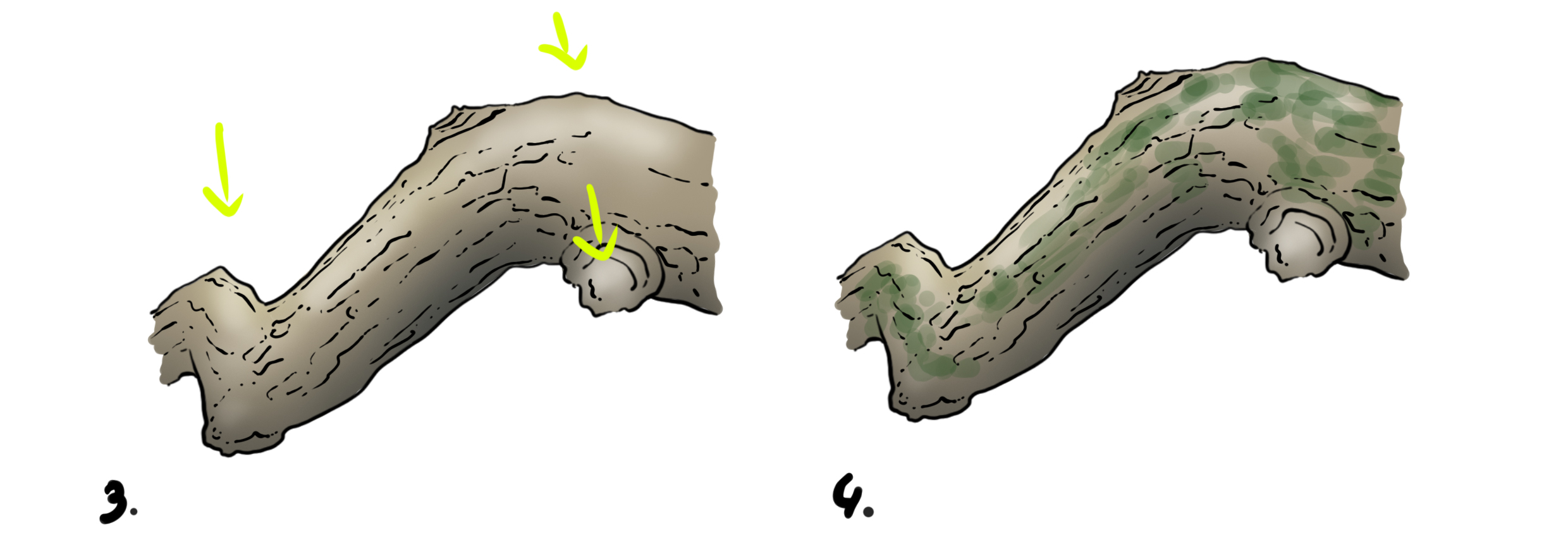 drawing of a branch in color 2