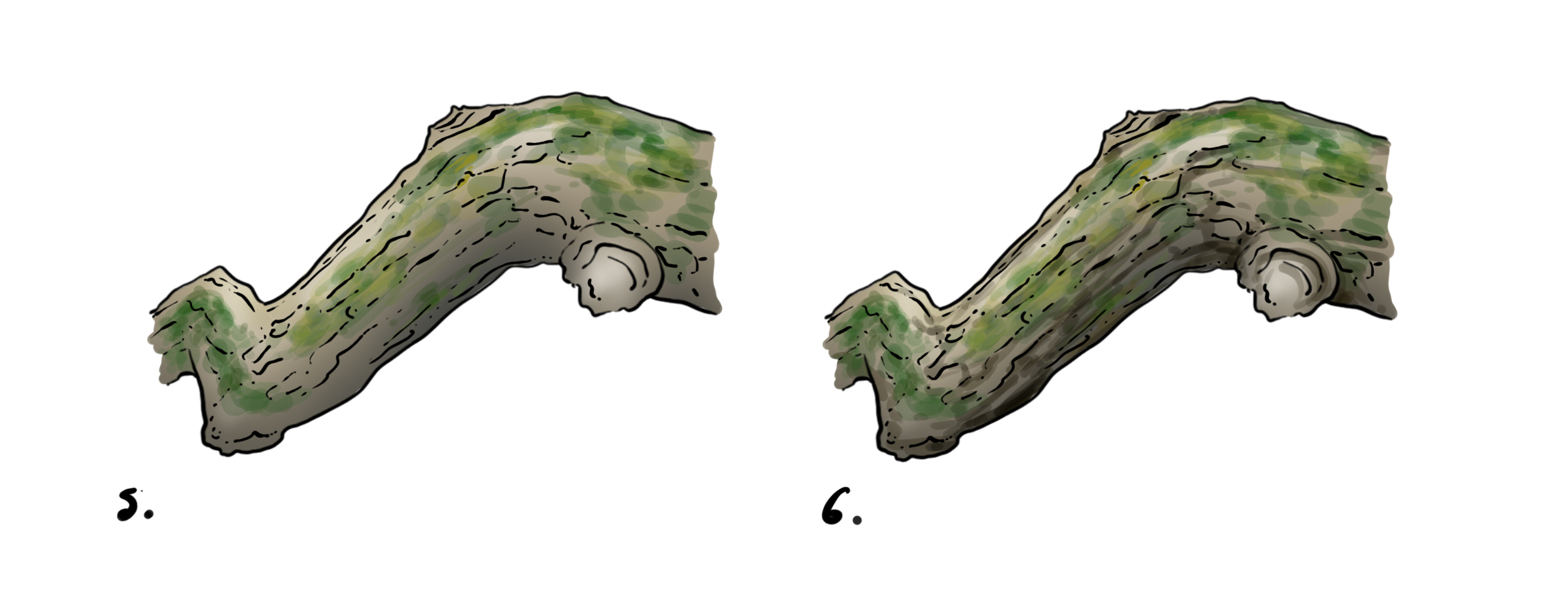 drawing of a branch in color 3 
