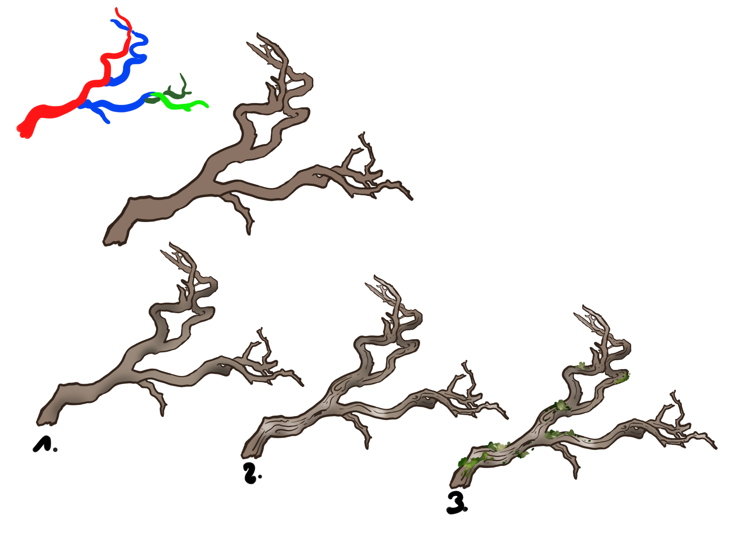drawing of the structure of the branch ramifications 3