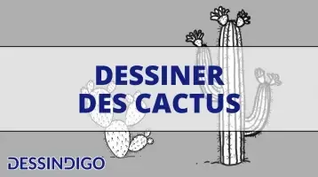 Comment desiner un cactus