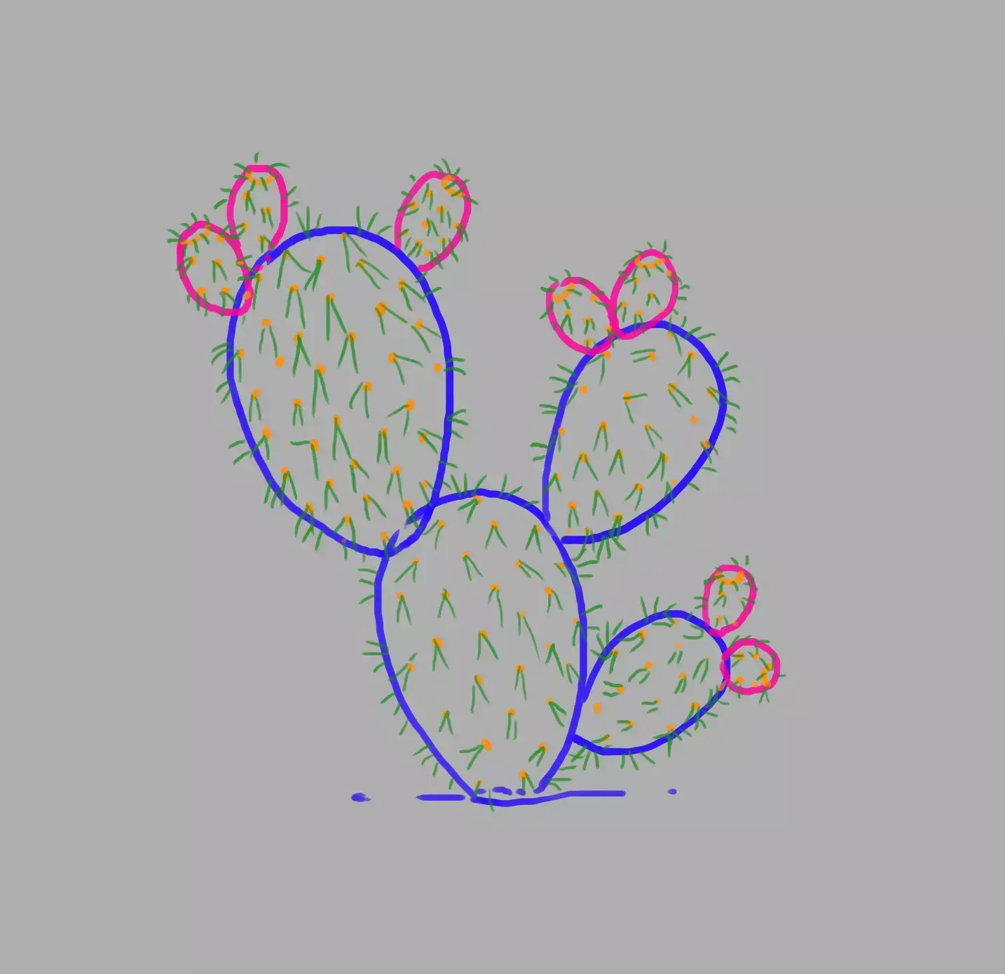 drawing of the prickly pear cactus needles