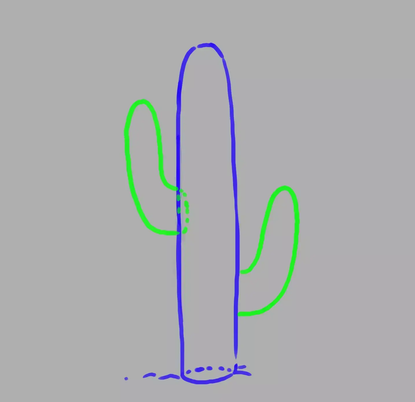drawing of the cactus appendages