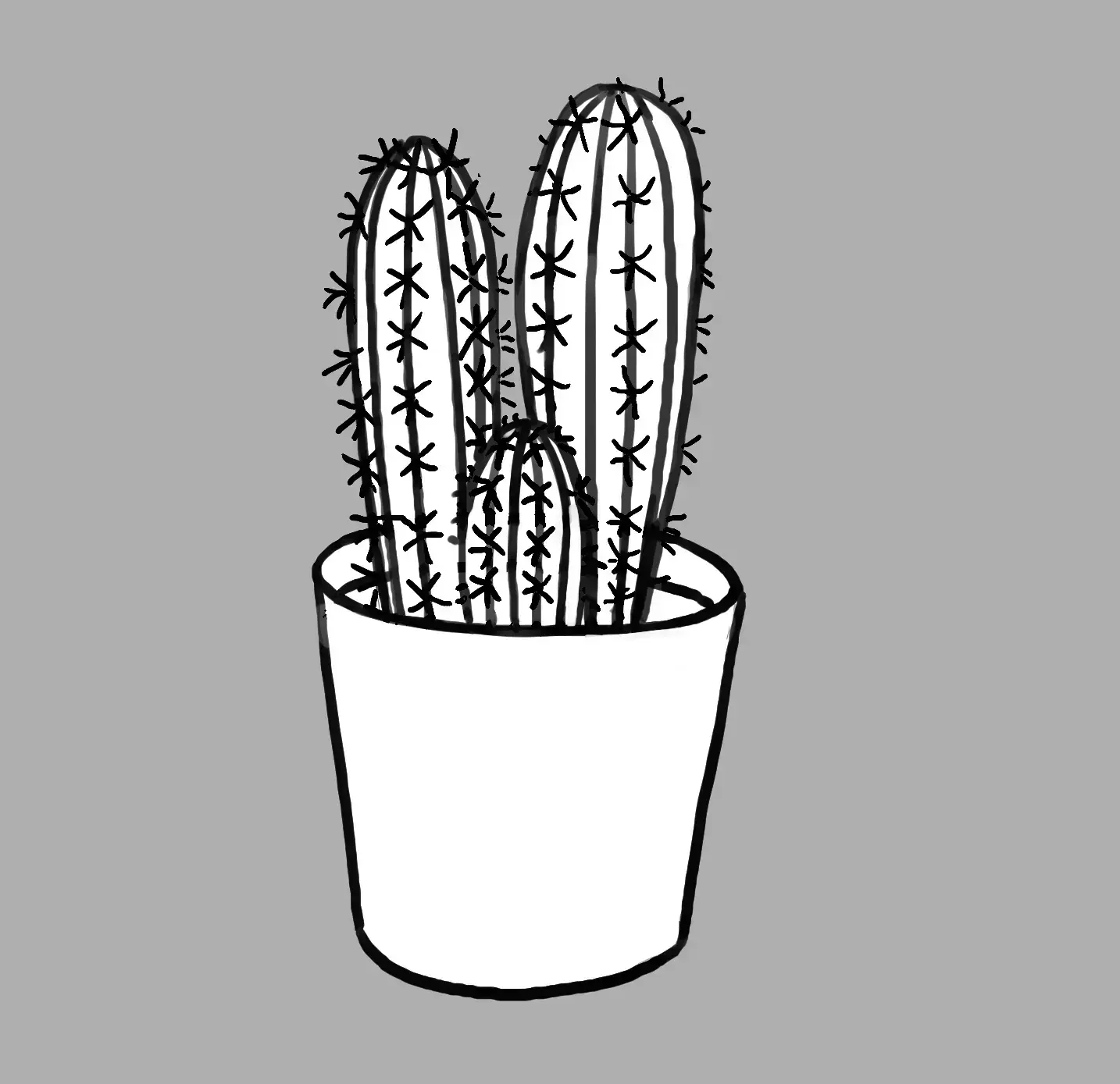 drawing of an indoor cactus