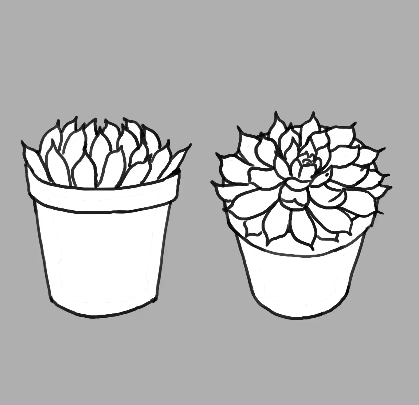 Descubre Cómo Dibujar Cactus y Suculentas