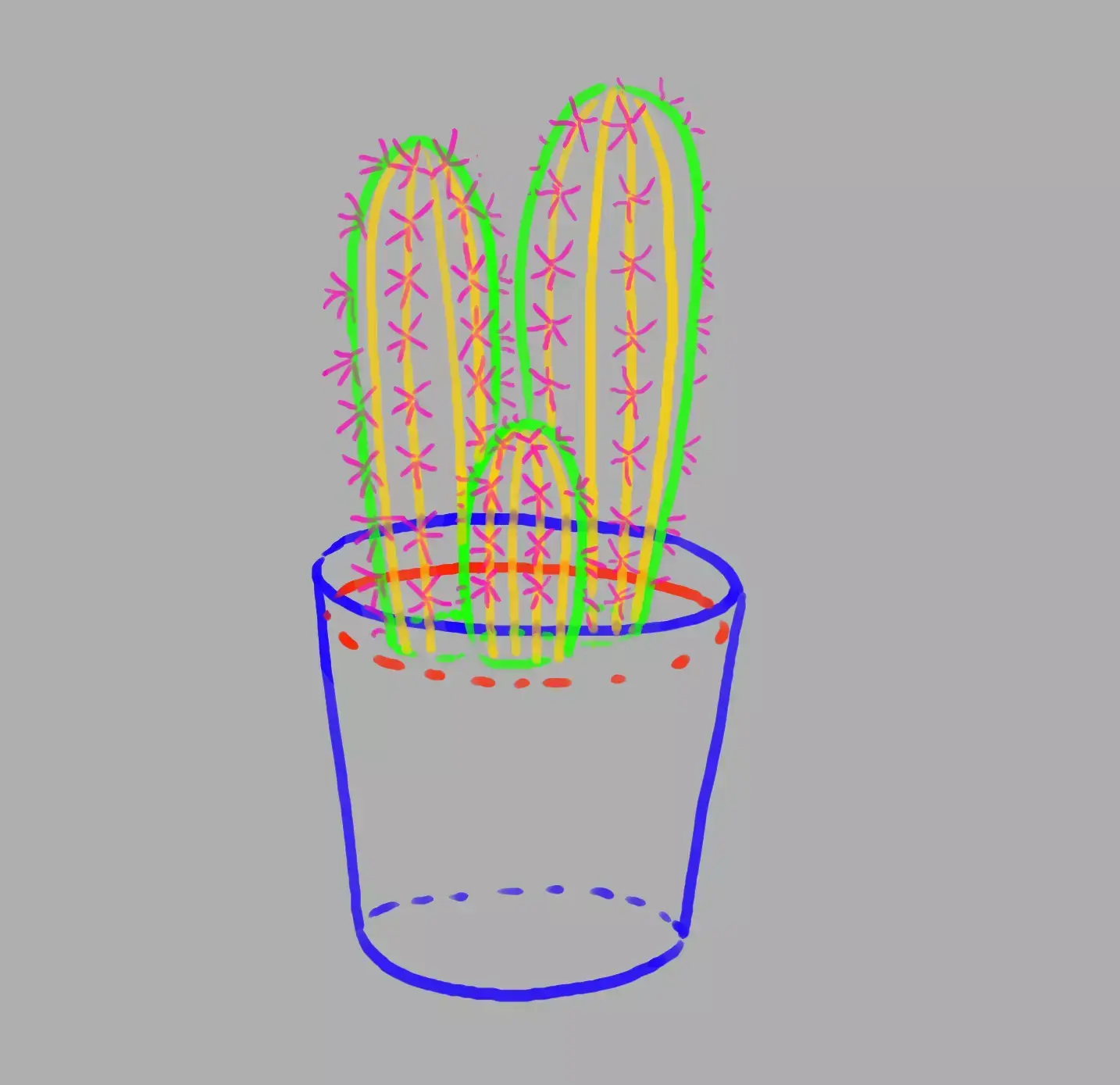 drawing of cactus spines