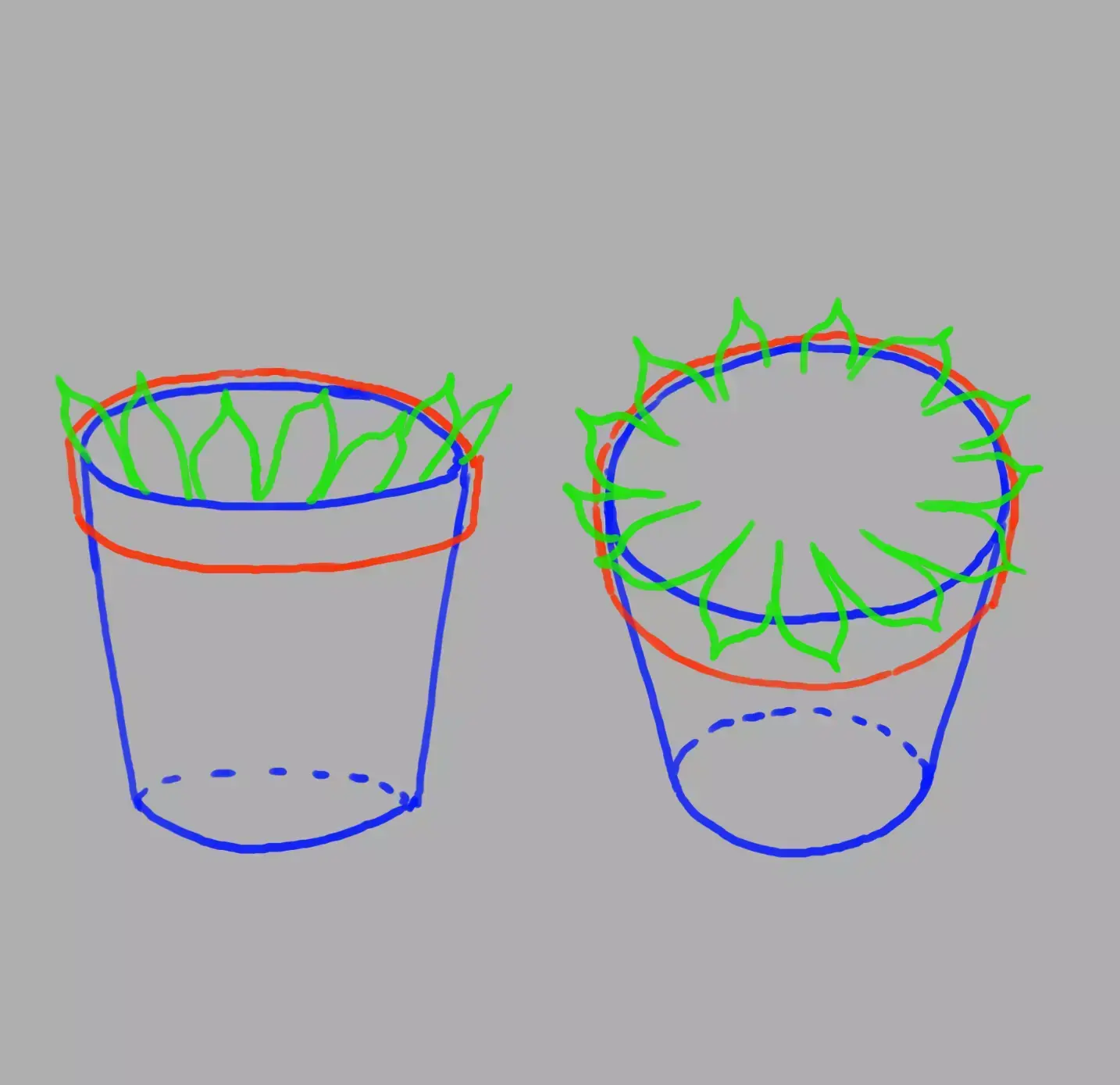 echeveria leaves drawing
