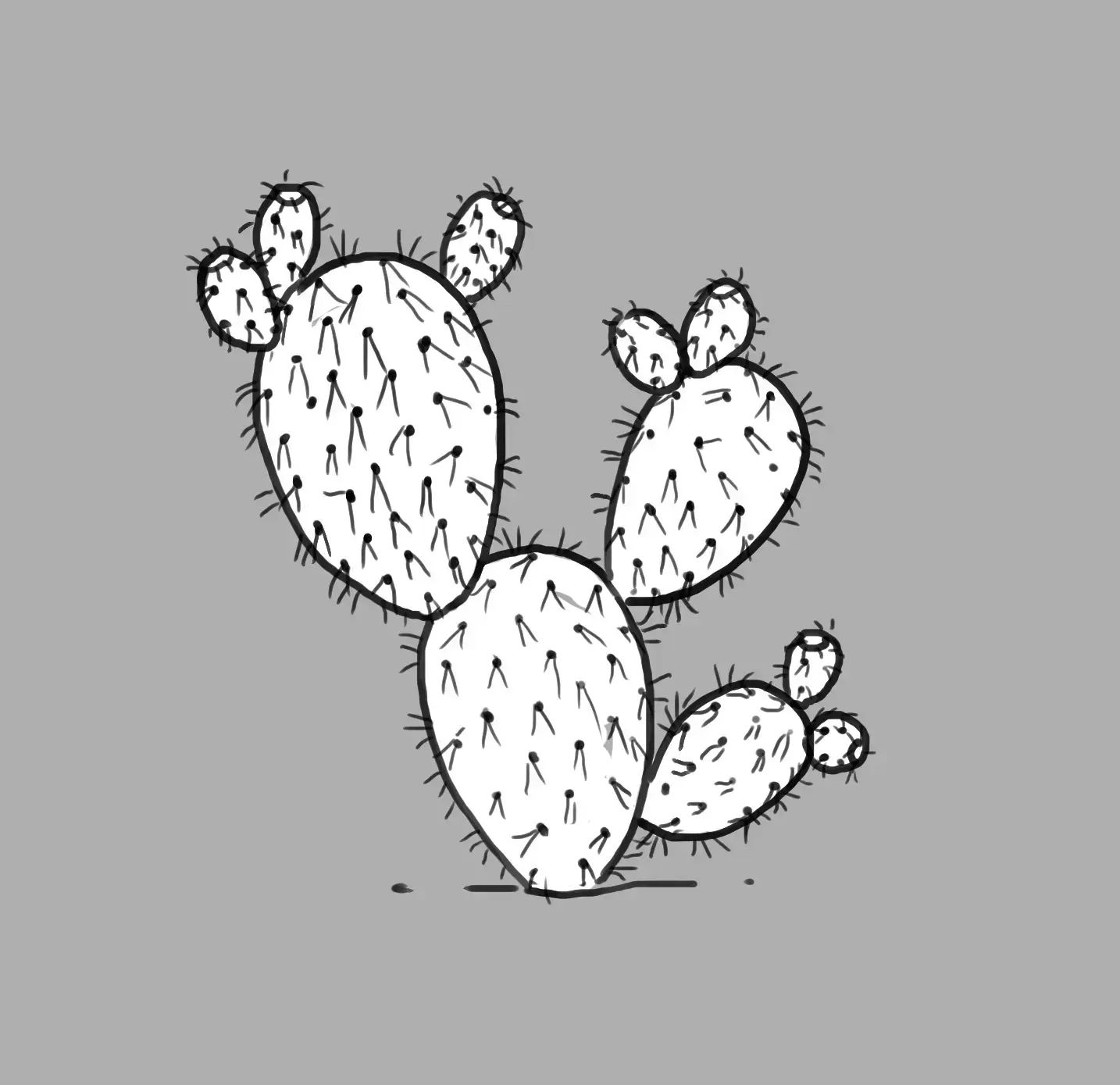 final drawing of the prickly pear cactus