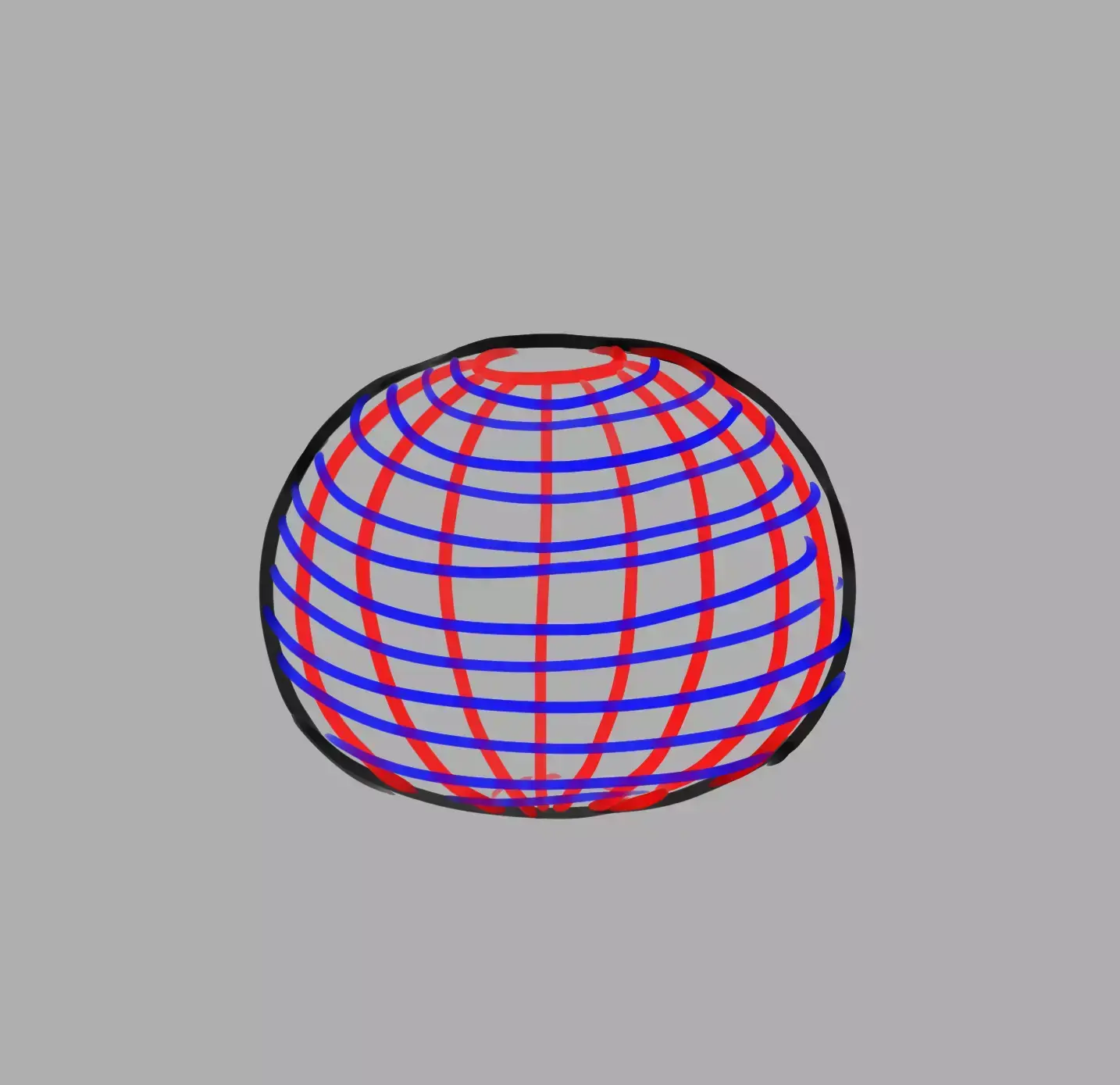 rounded shape drawing of the cactus