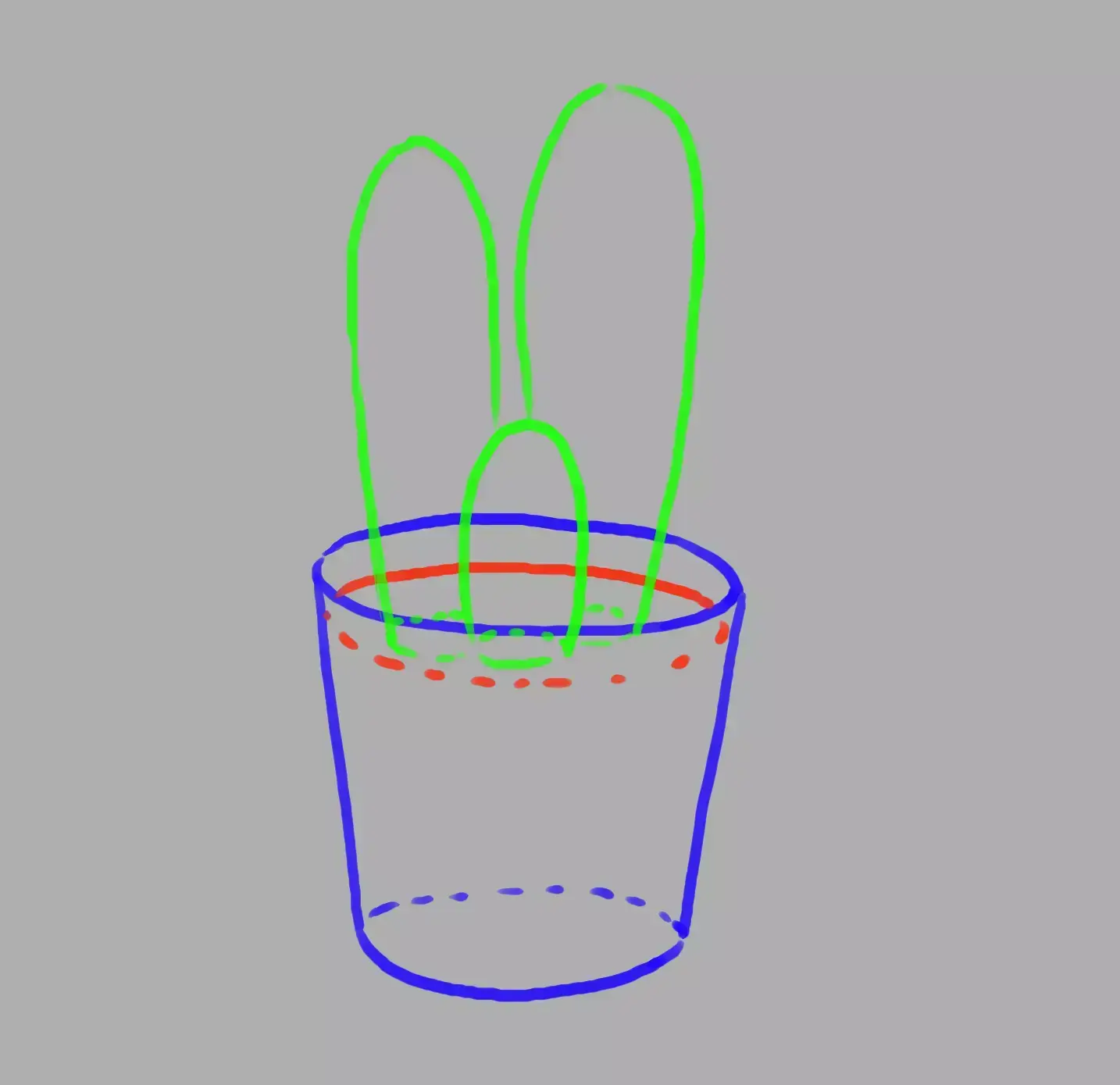 drawing of cactus shapes
