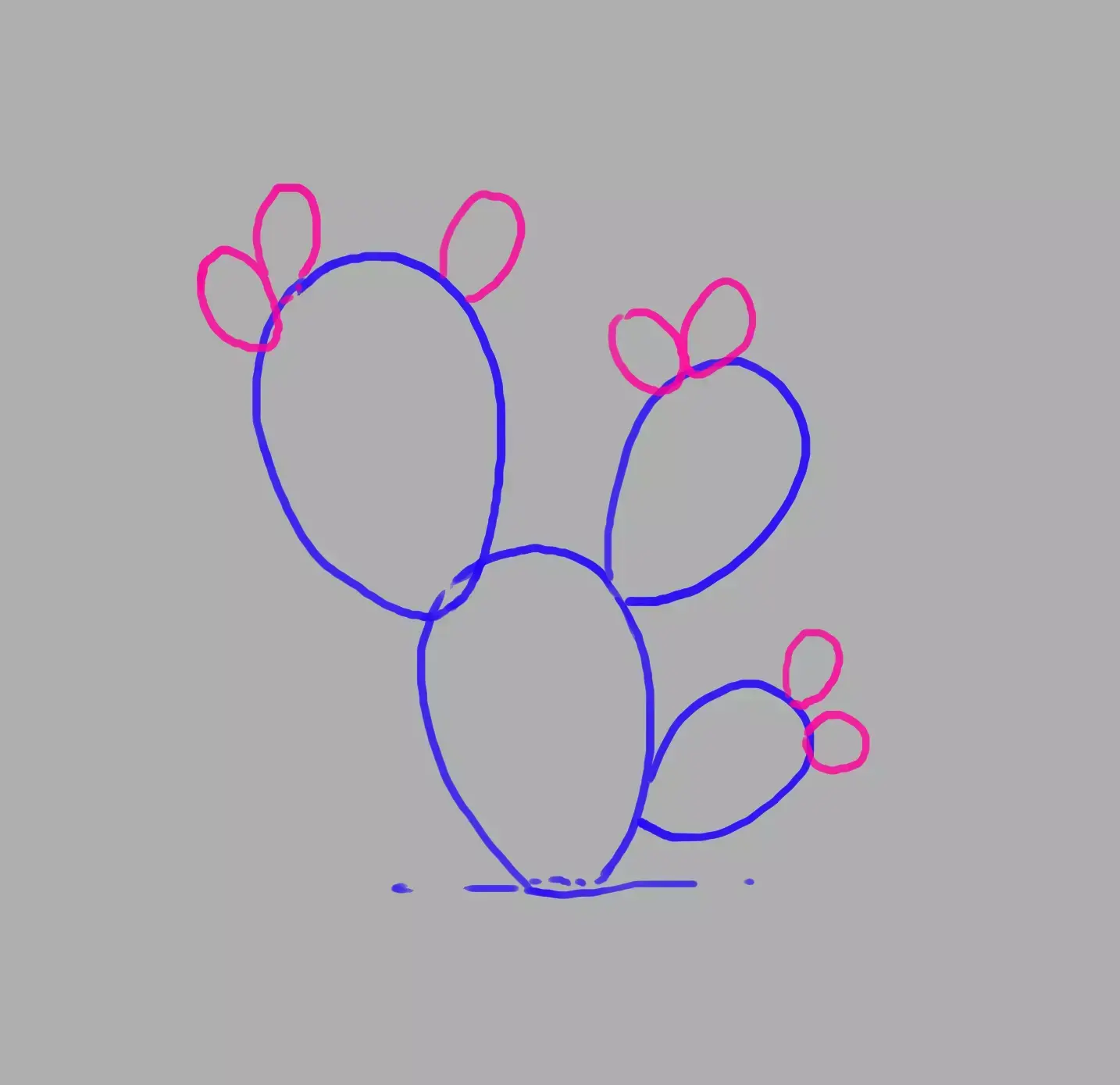 drawing of the shape of prickly pears