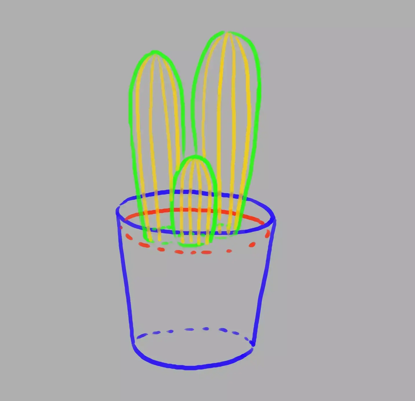 drawing of the stripes on the potted cactus