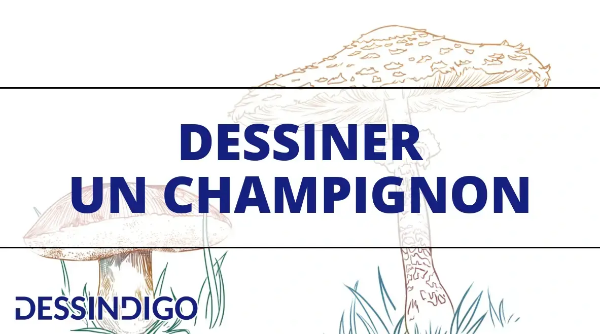 Dessiner un champignon