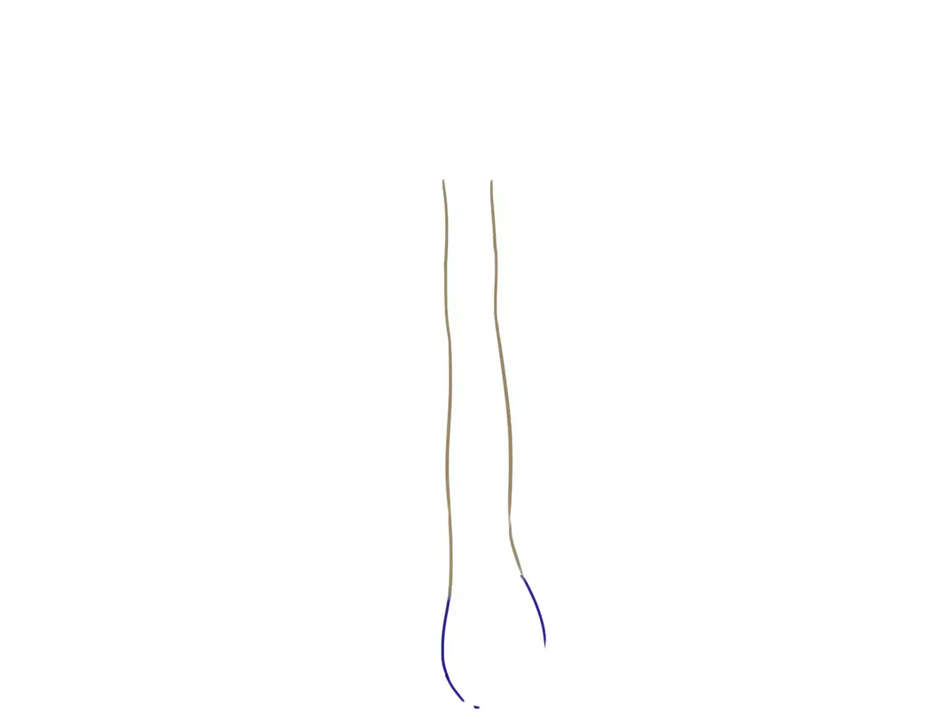 dessin du bulbe d’un champignon