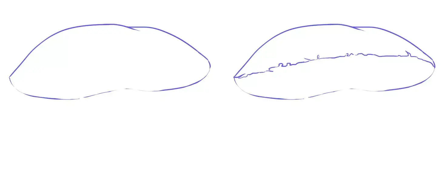 dessin du chapeau d’un bolet