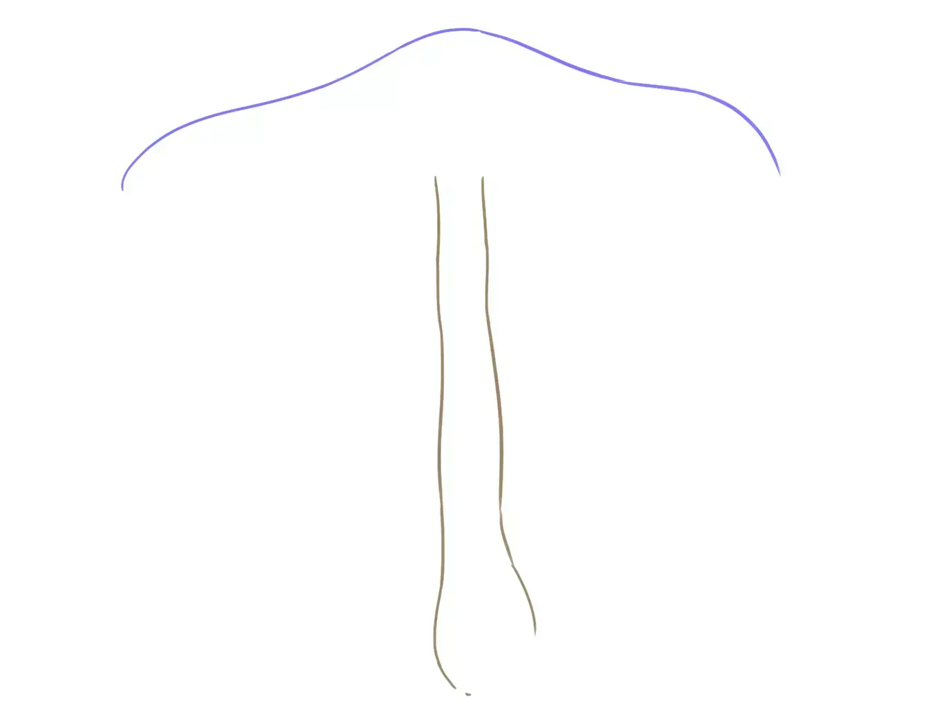 dessin du chapeau d’un champignon