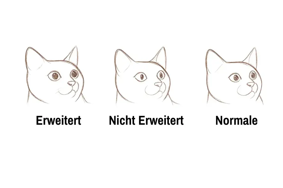 Die Augen einer Katze zeichnen, Schritt 1