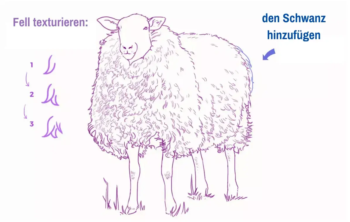 Schema eines flachen Fußes