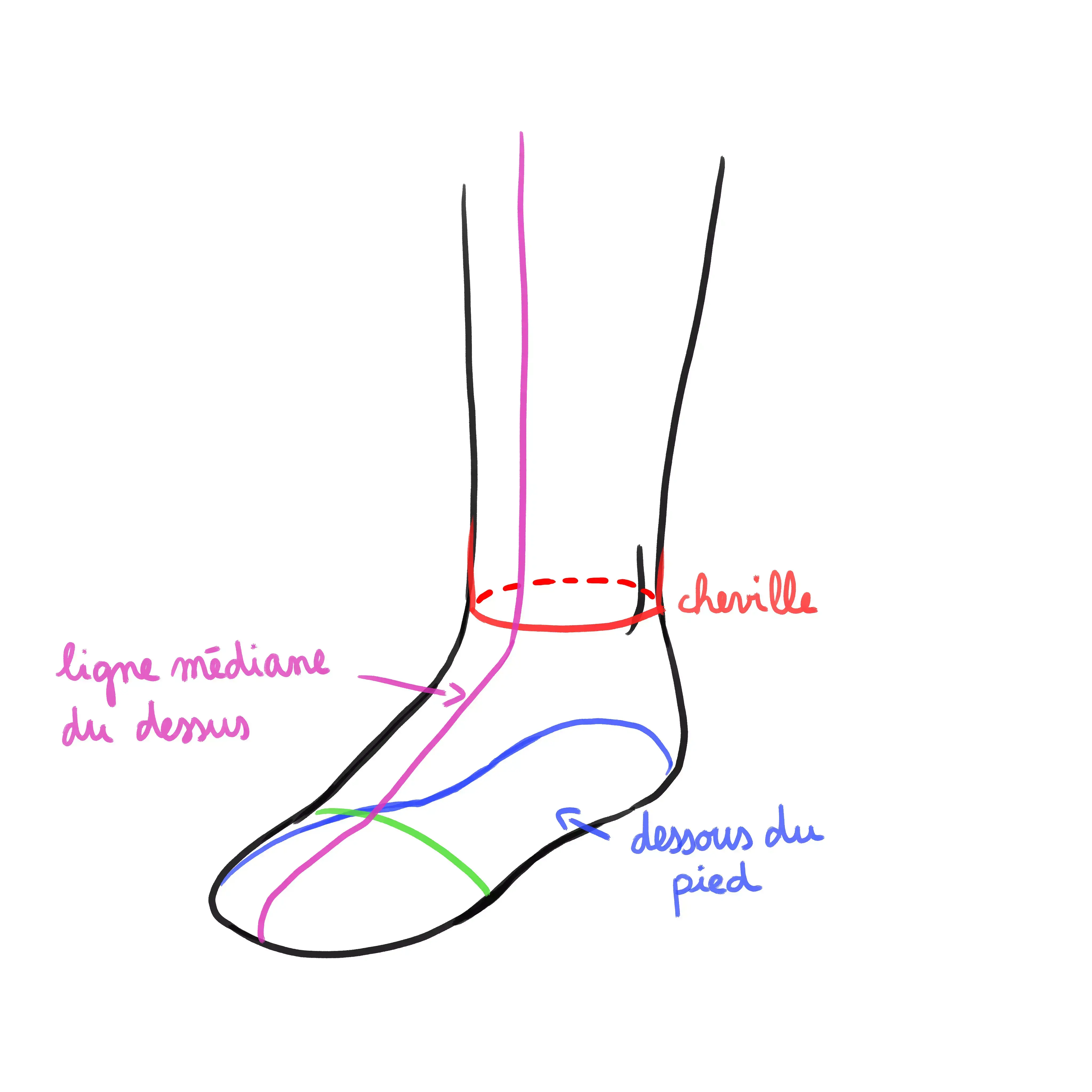 schema d’un pied à plat