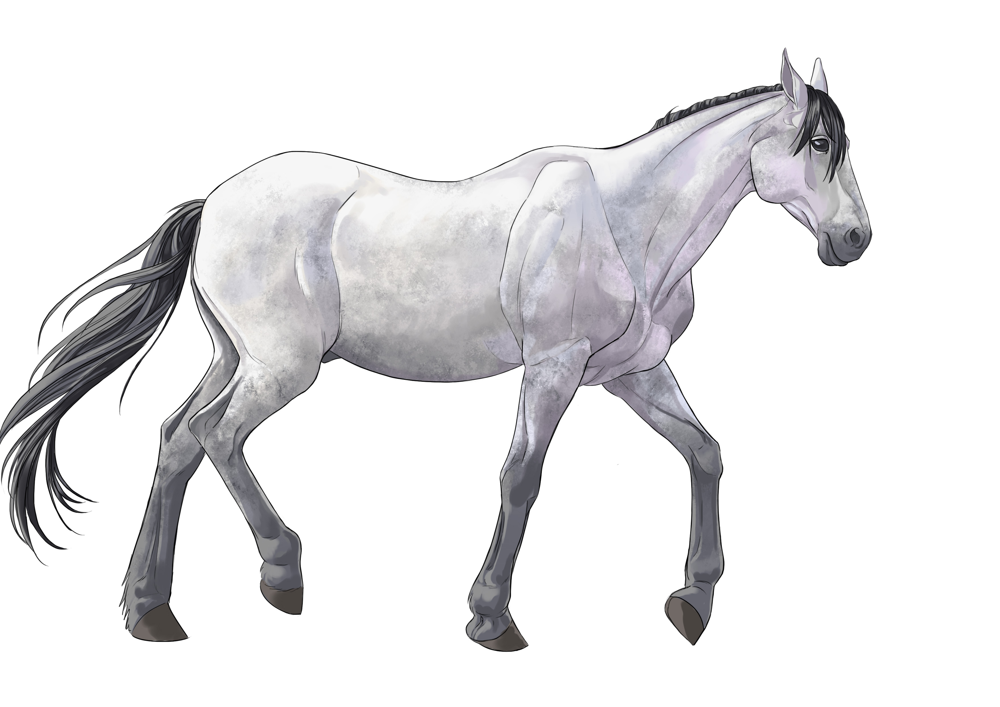¿Cómo dibujar un caballo?