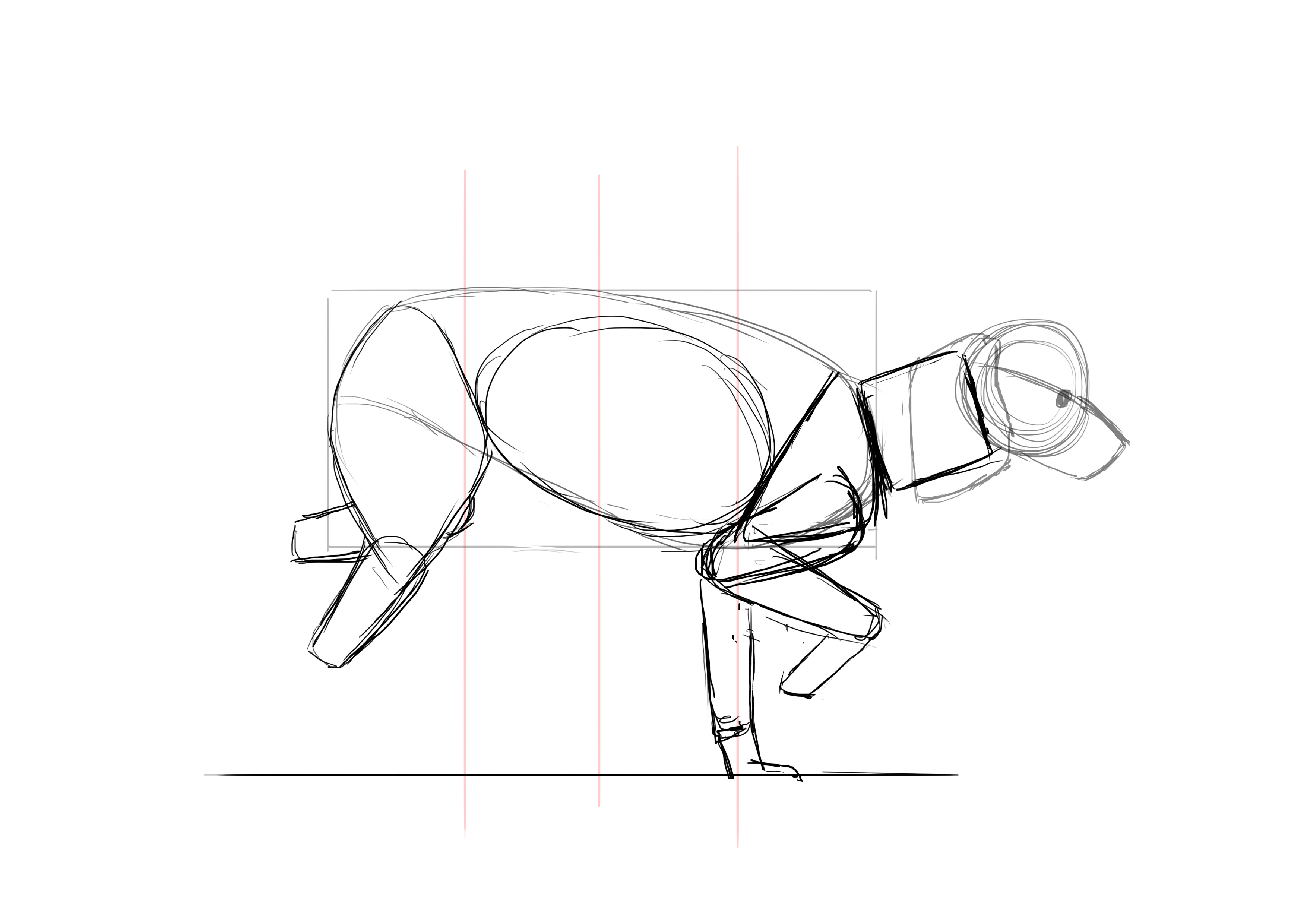 Dessiner la cuisse du caniche 2