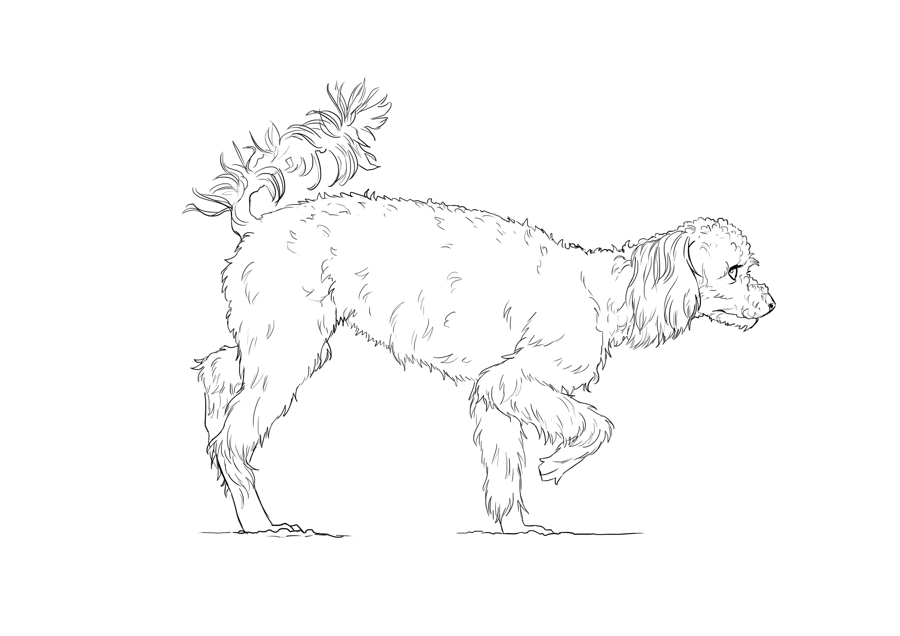 ¿Cómo dibujar un perro?