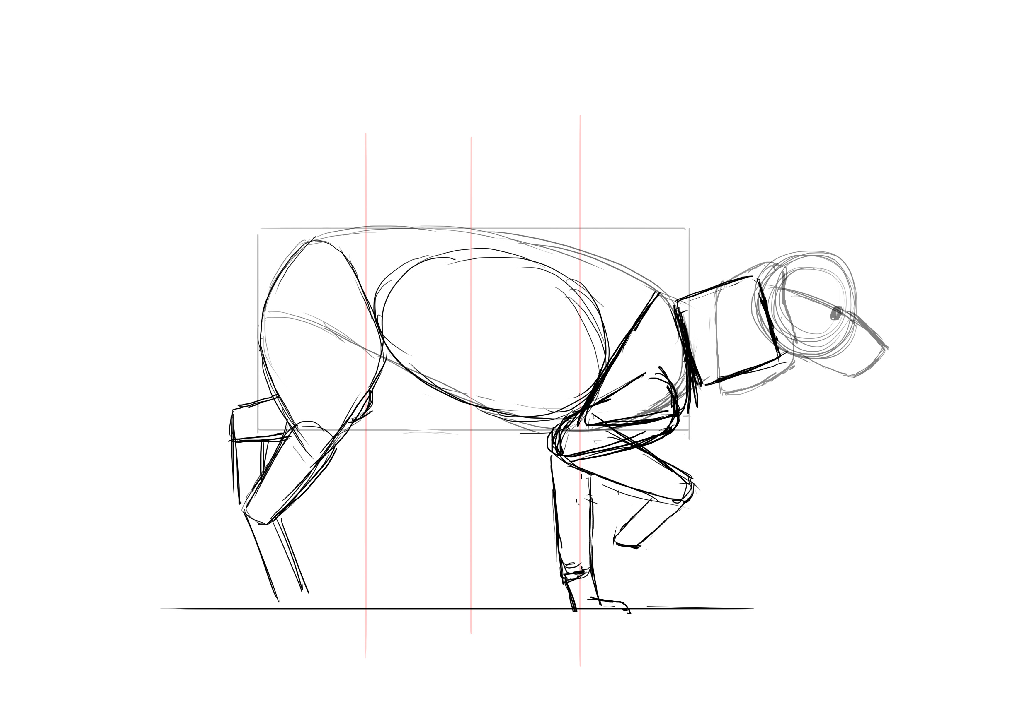 Dessiner les pattes arrière du caniche