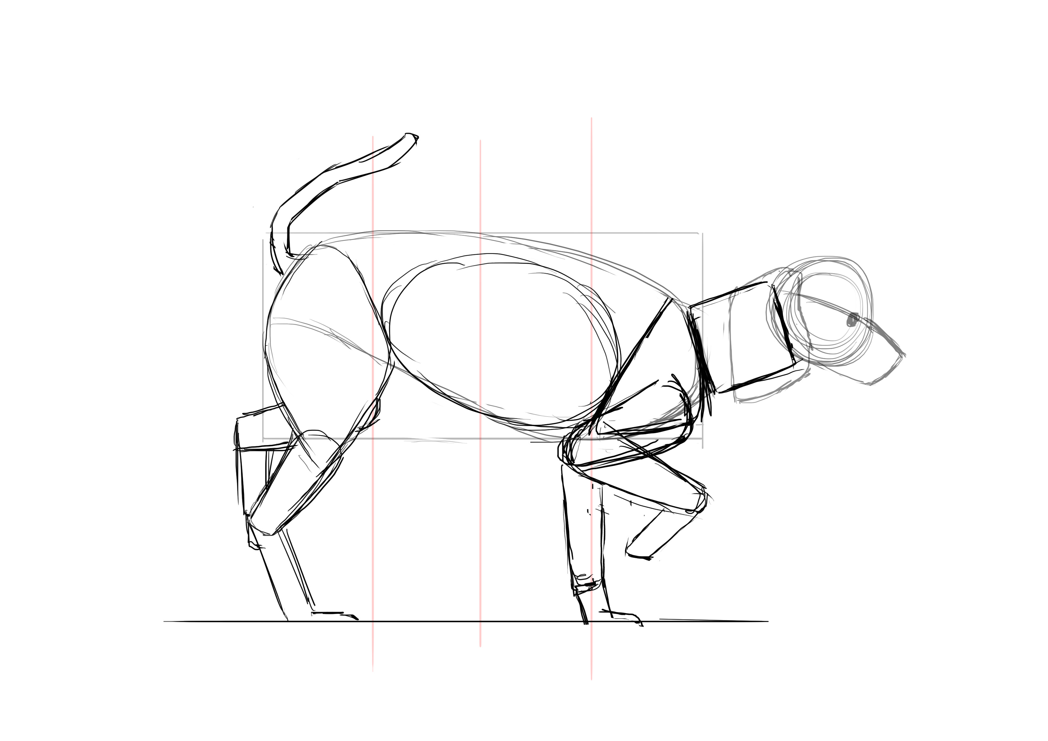 Dessiner la queue du caniche