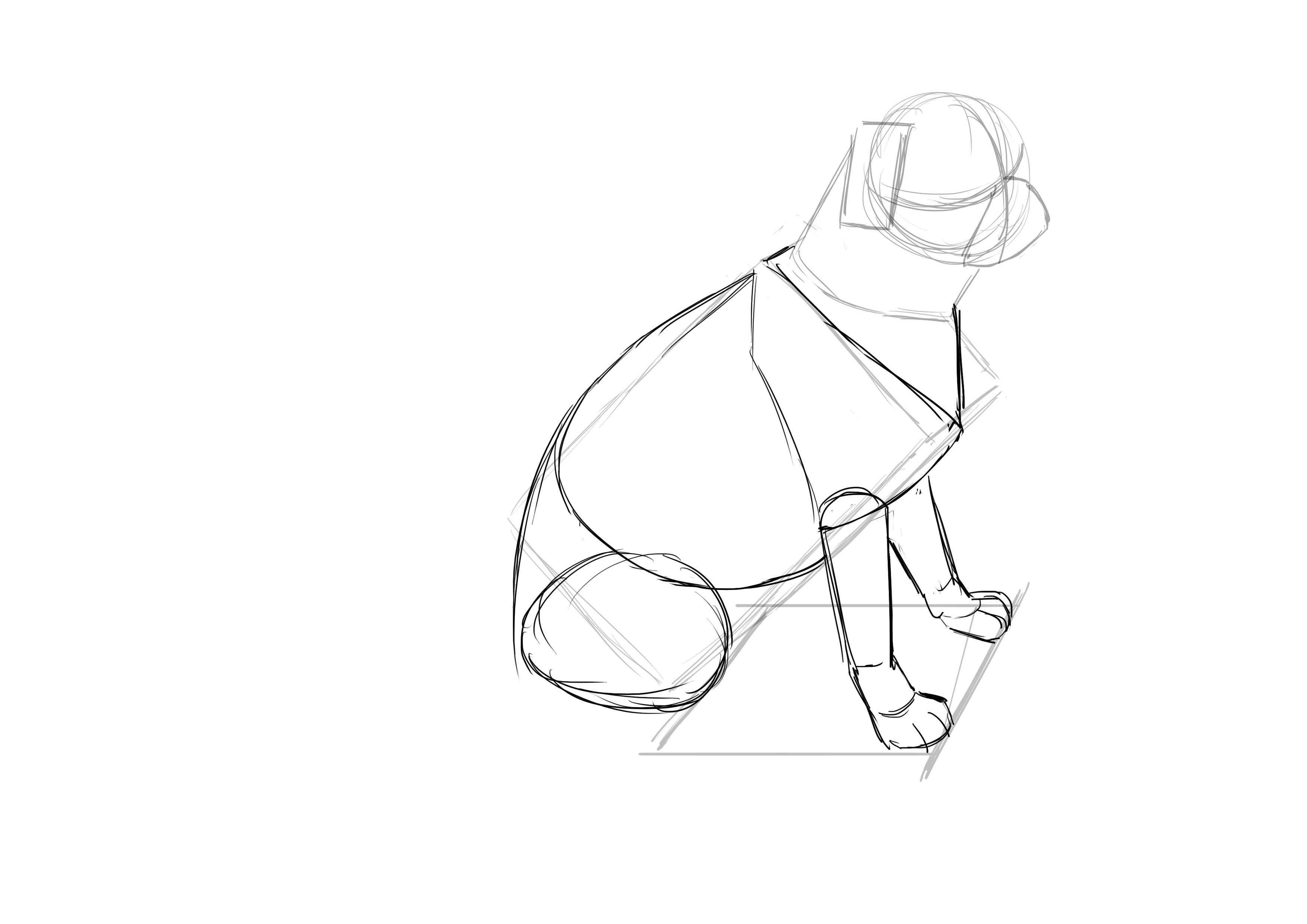 Dessiner la cuisse du chien