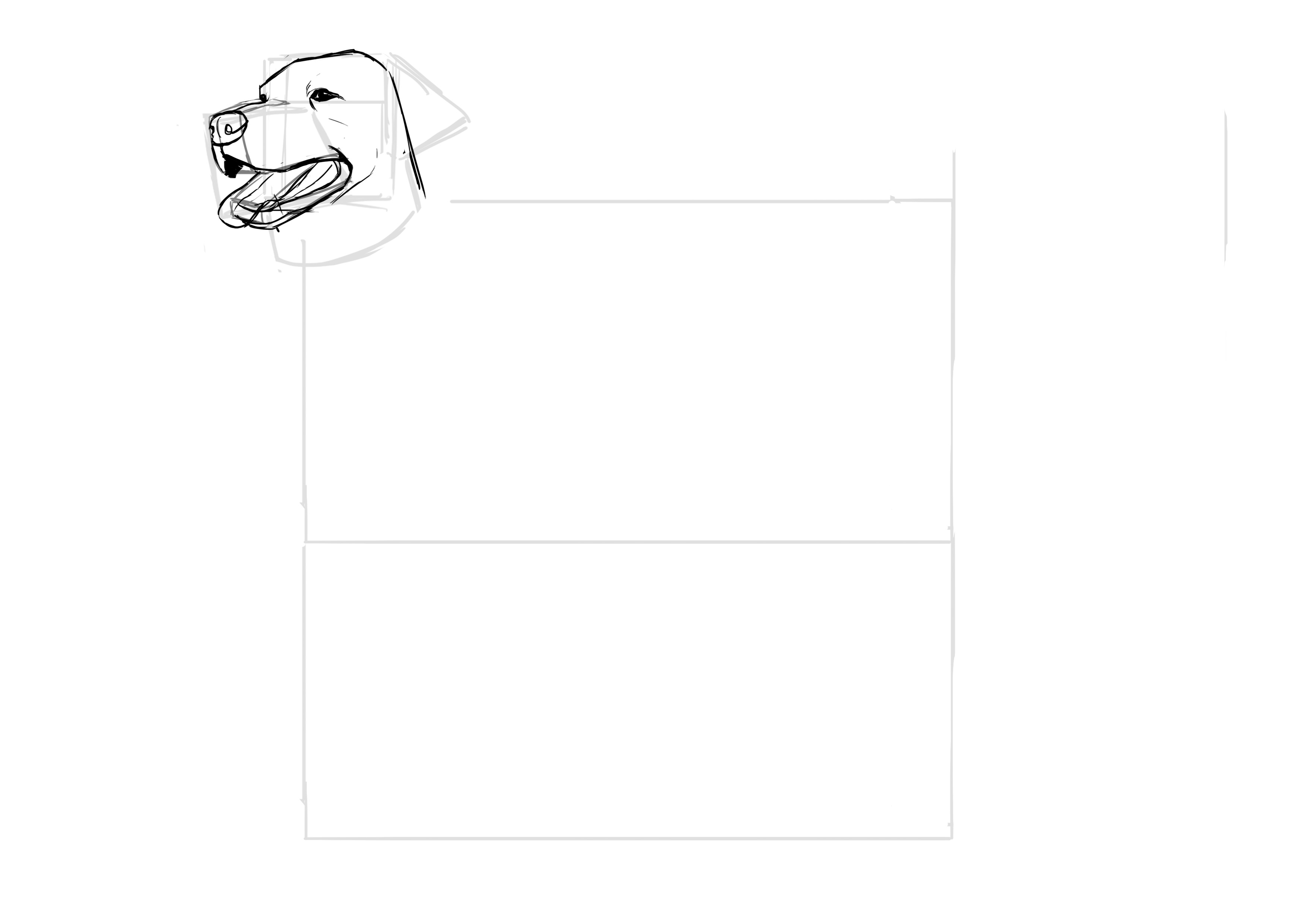 Dessiner la langue du labrador