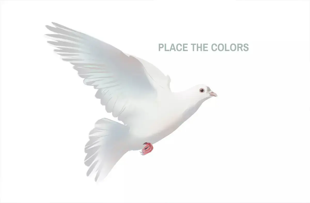 color drawing of a dove
