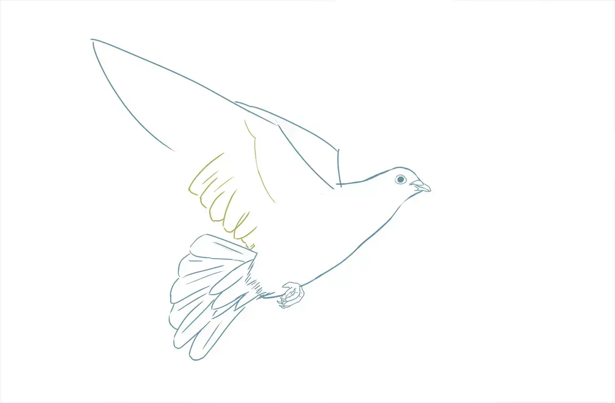 dibujo de las alas de una paloma
