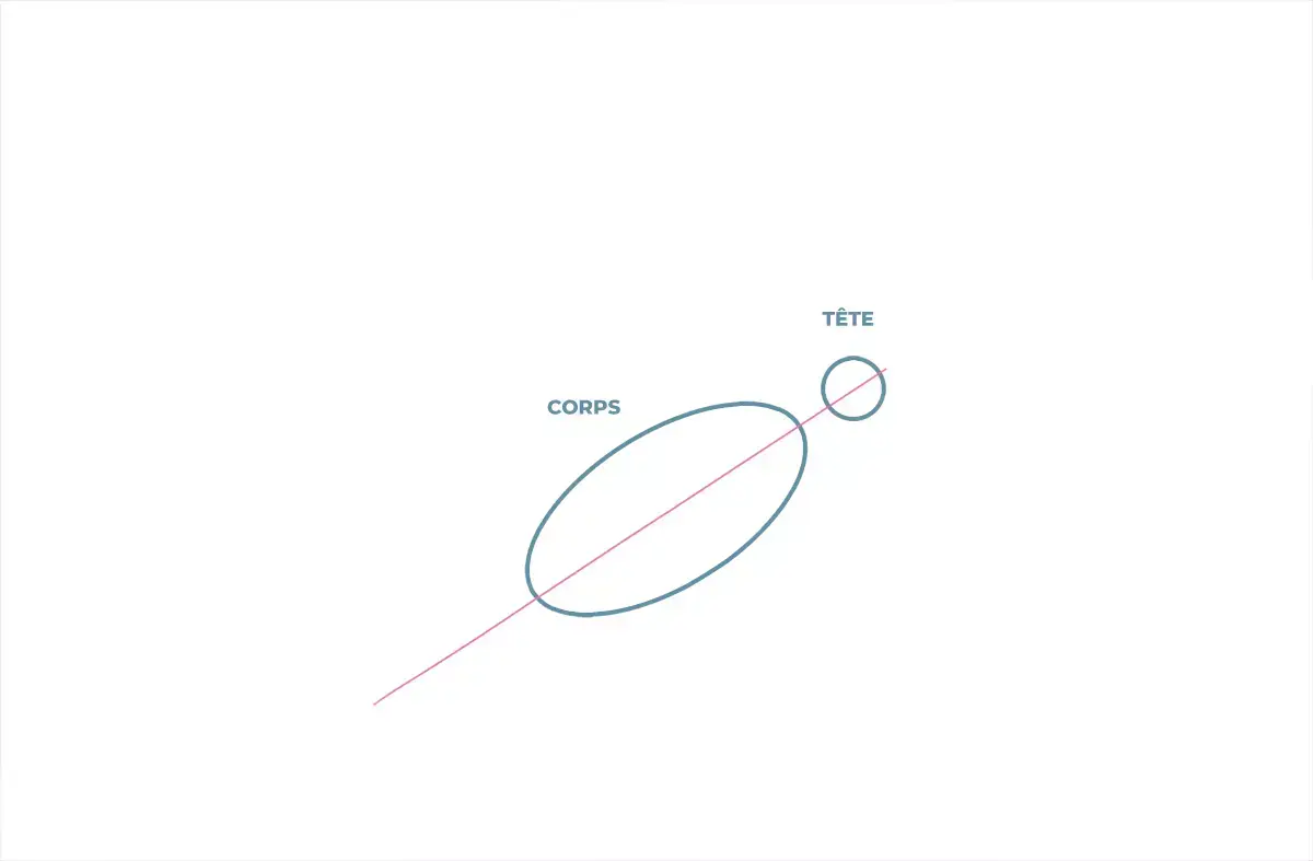 dessin du corps et de la tête d’une colombe