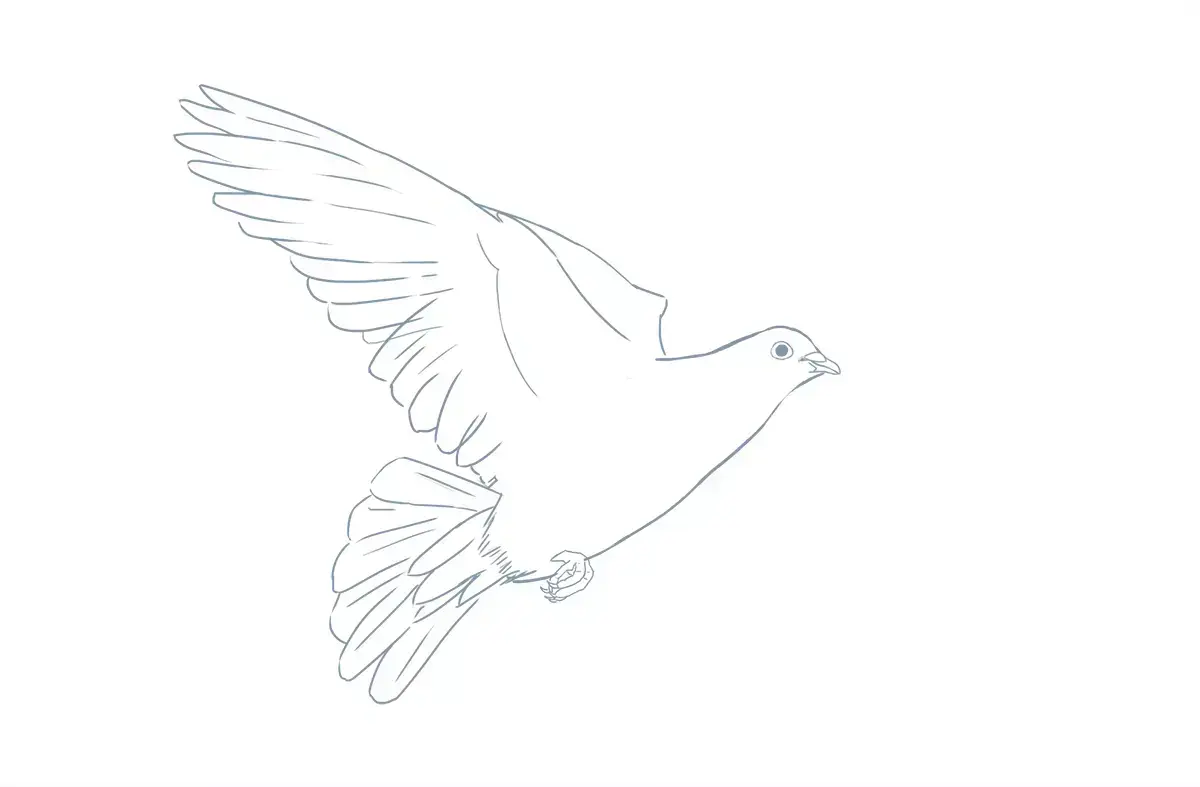 dibujo detallado de las alas de una paloma