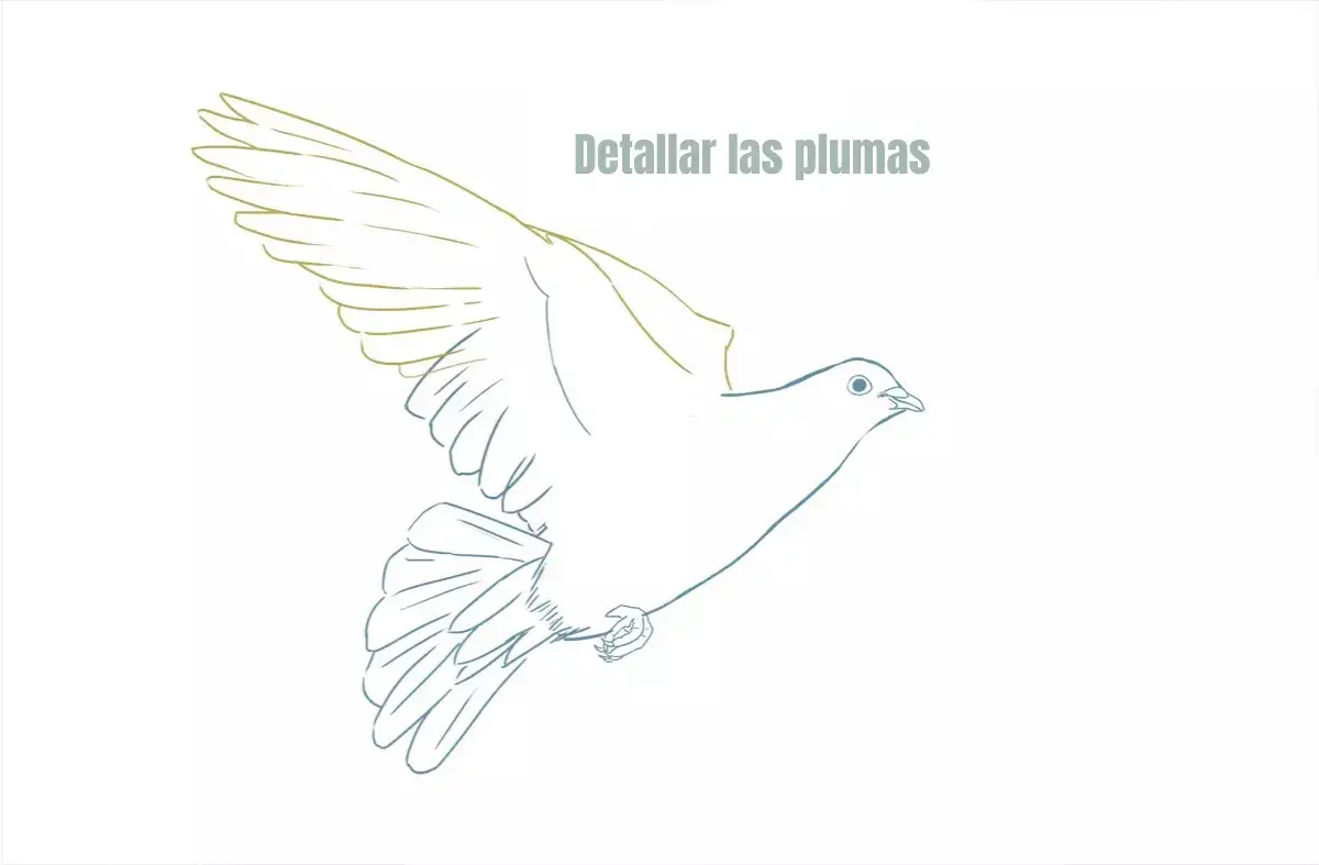 dibujo detallado de las plumas de una paloma