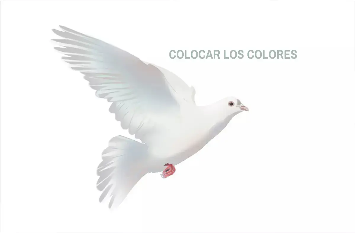 dibujo en color de una paloma