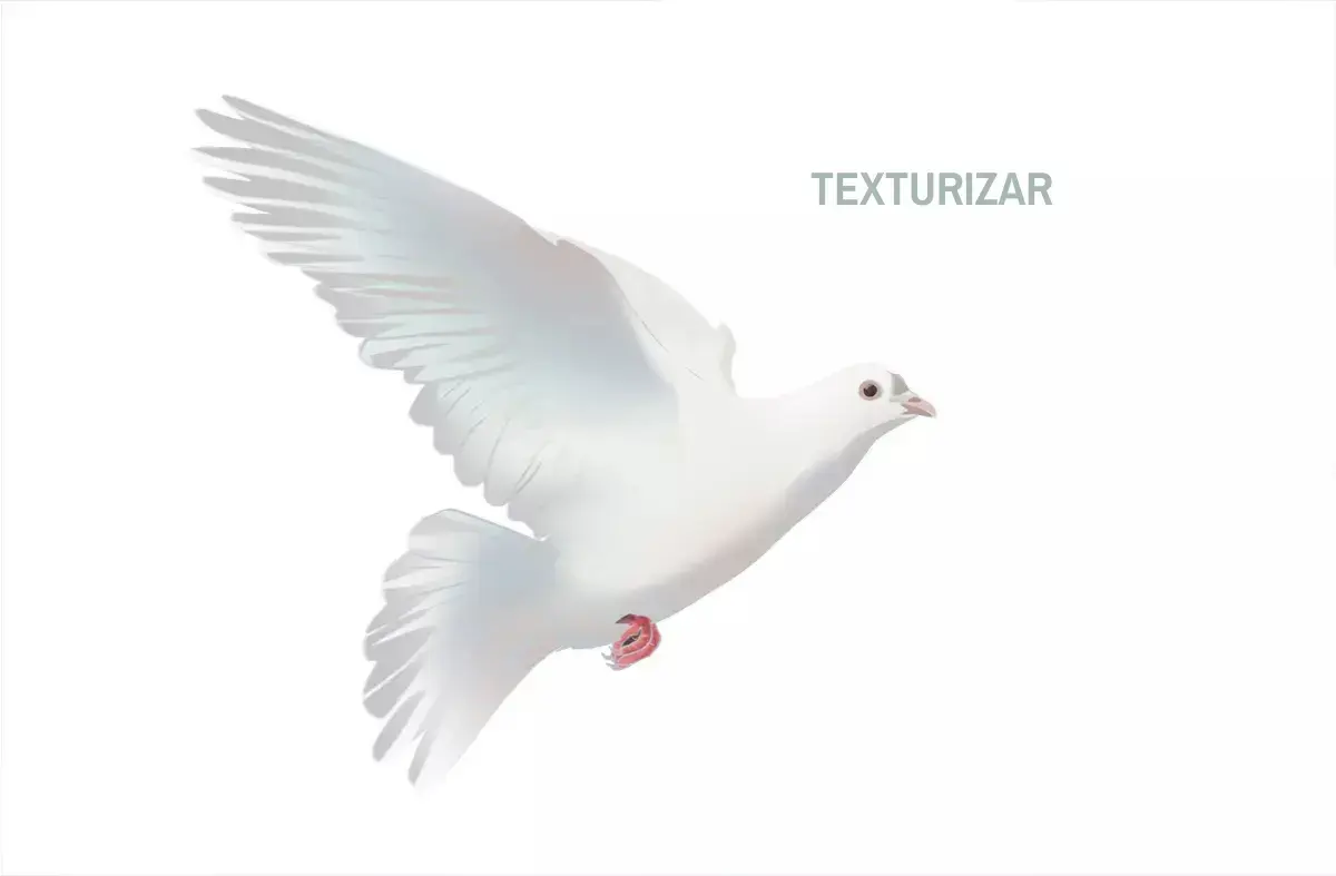 dibujo de las texturas de una paloma